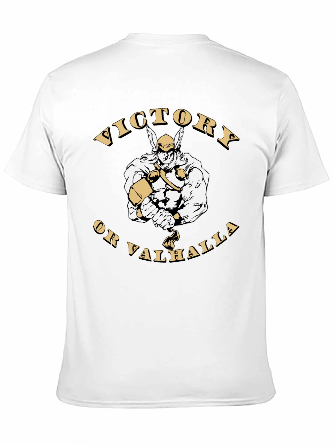 Victory or Valhalla Viking Graphic T-Shirt