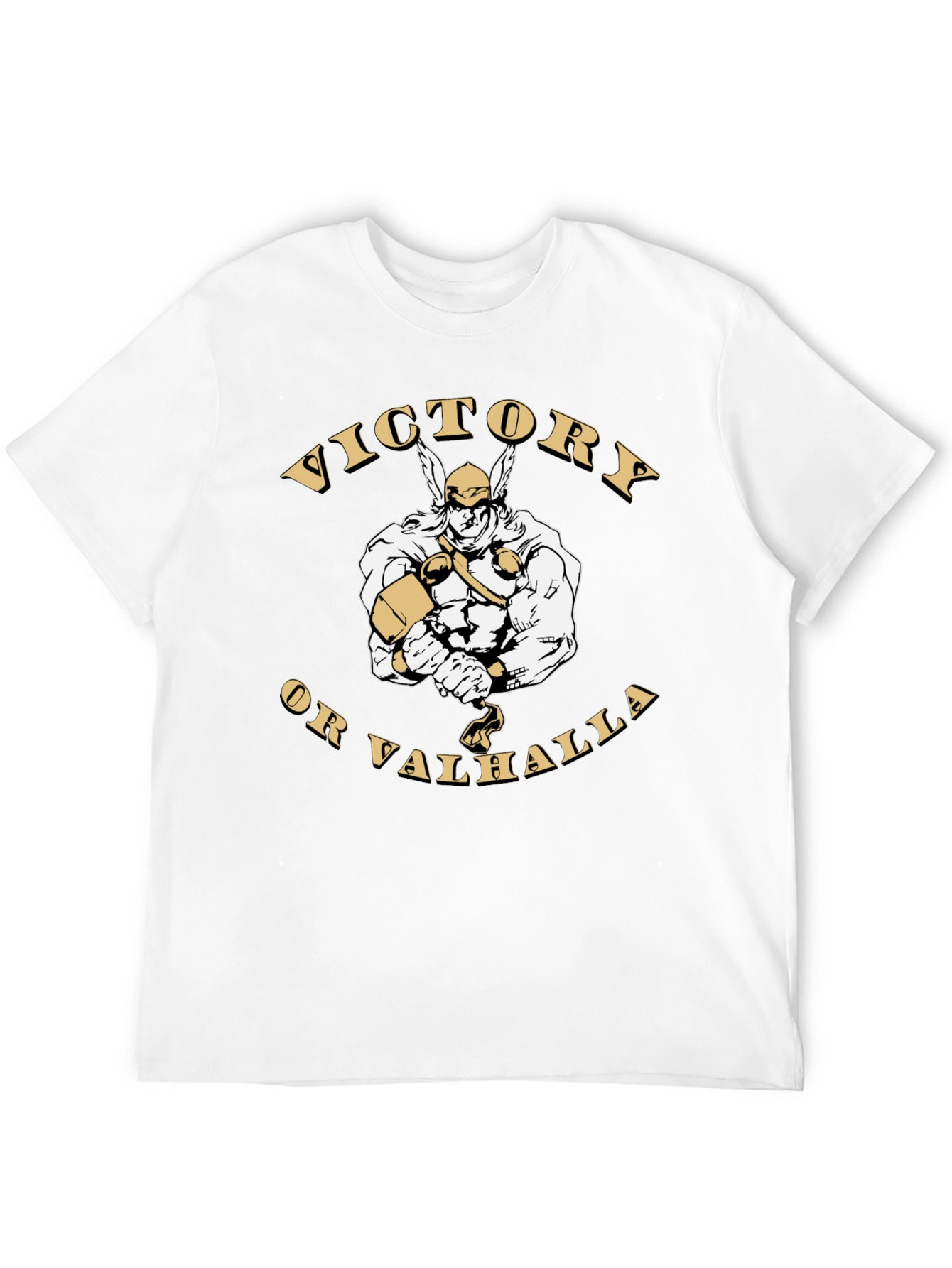 Victory or Valhalla Viking Graphic T-Shirt