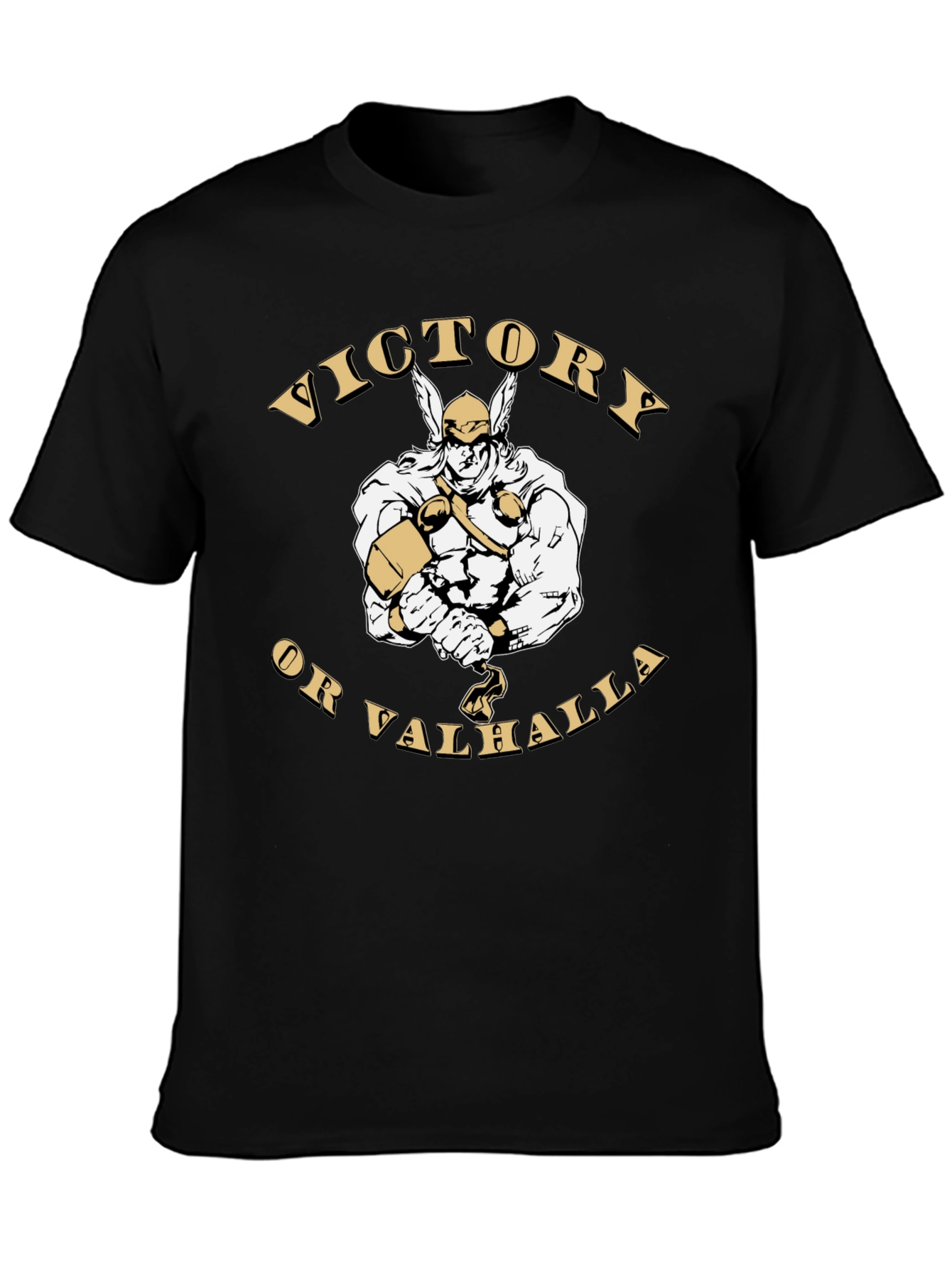 Victory or Valhalla Viking Graphic T-Shirt