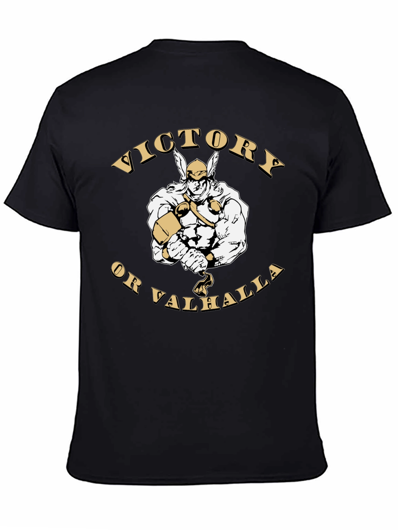 Victory or Valhalla Viking Graphic T-Shirt