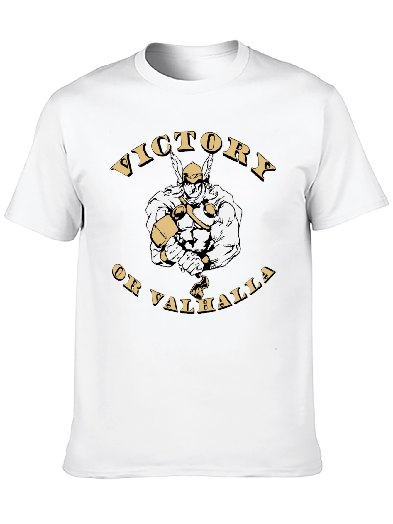 Victory or Valhalla Viking Graphic T-Shirt