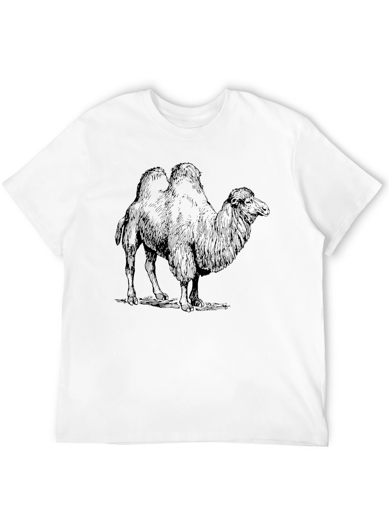 Camel Graphic Print Black T-Shirt