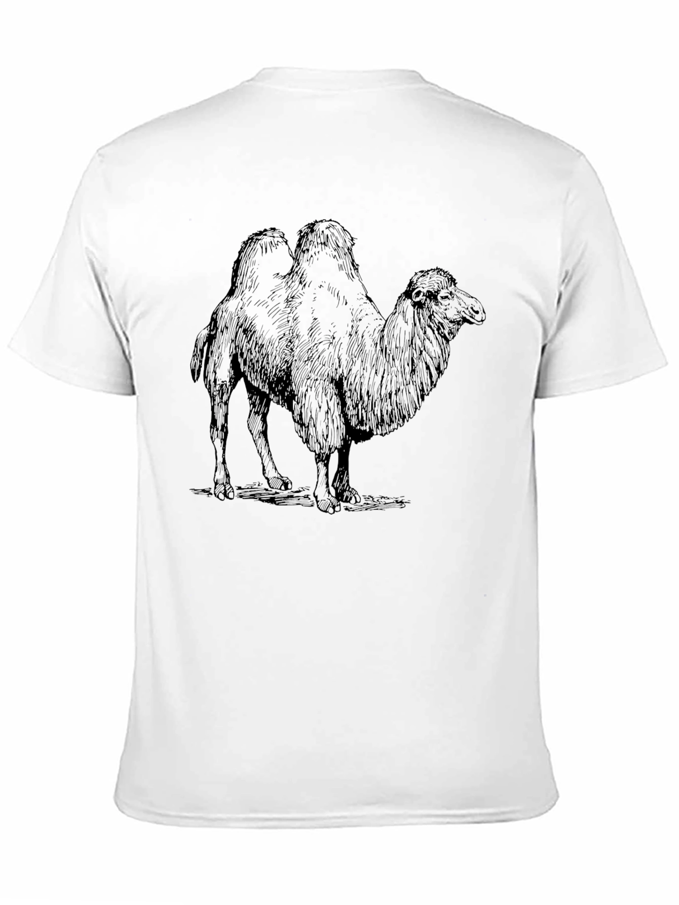 Camel Graphic Print Black T-Shirt