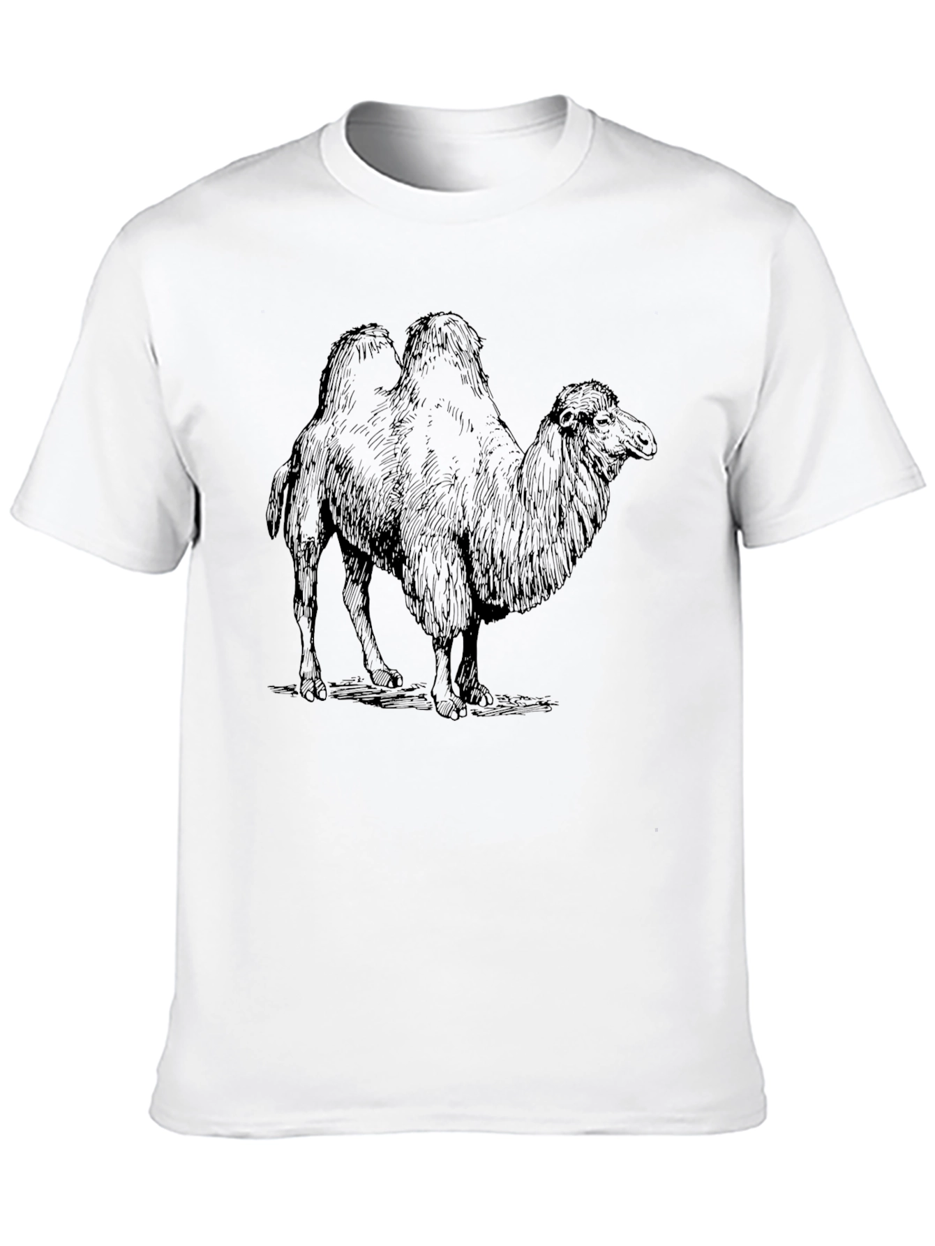 Camel Graphic Print Black T-Shirt