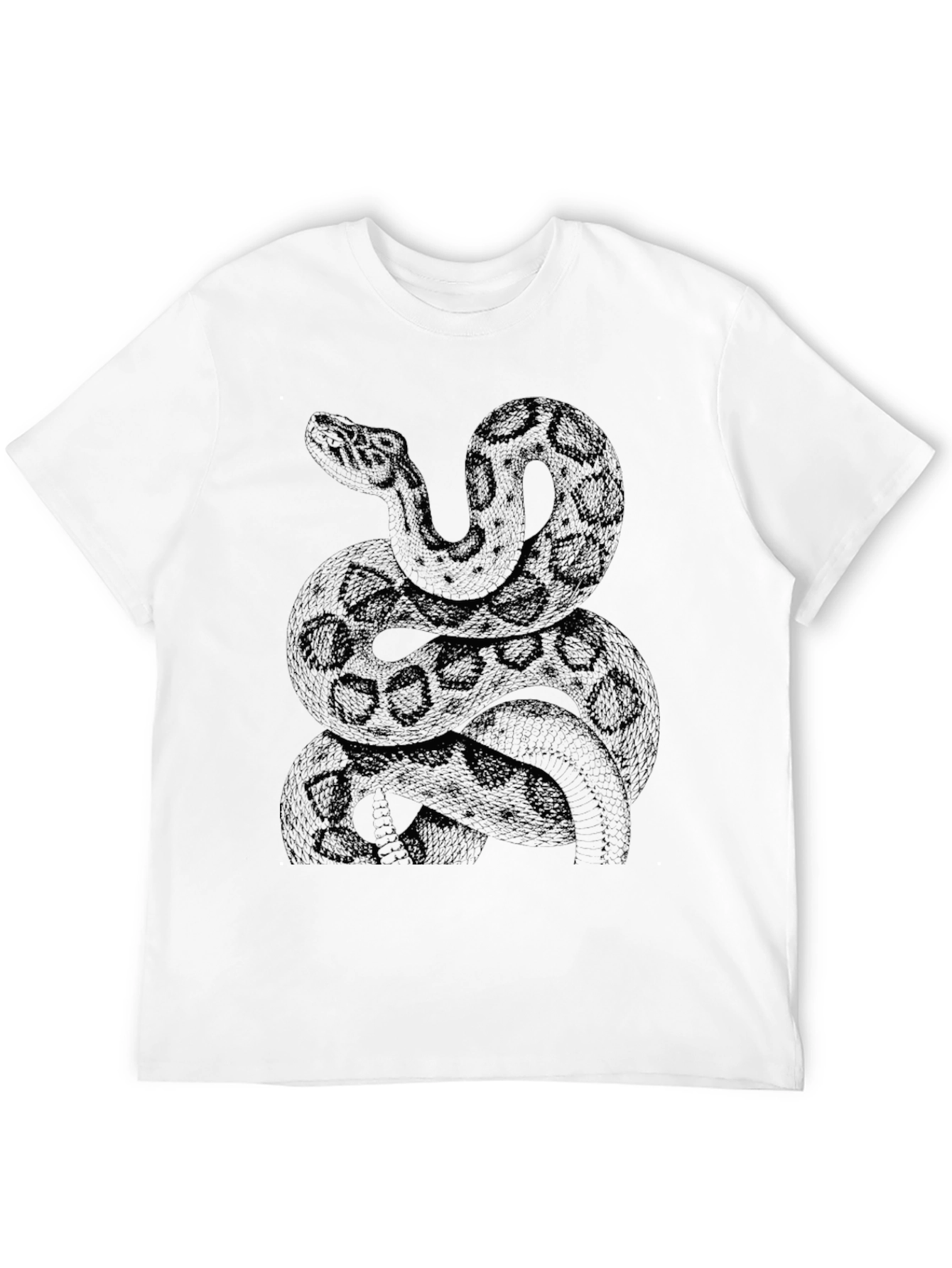 Snake Graphic Print Black T-Shirt