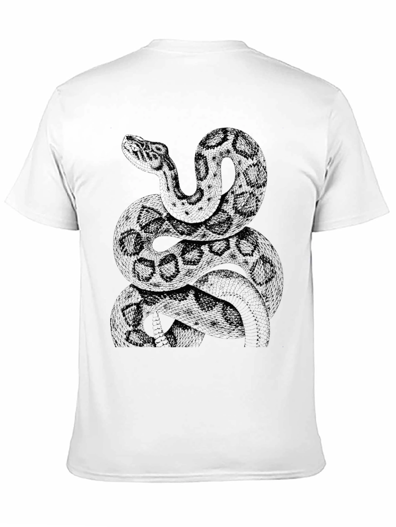 Snake Graphic Print Black T-Shirt