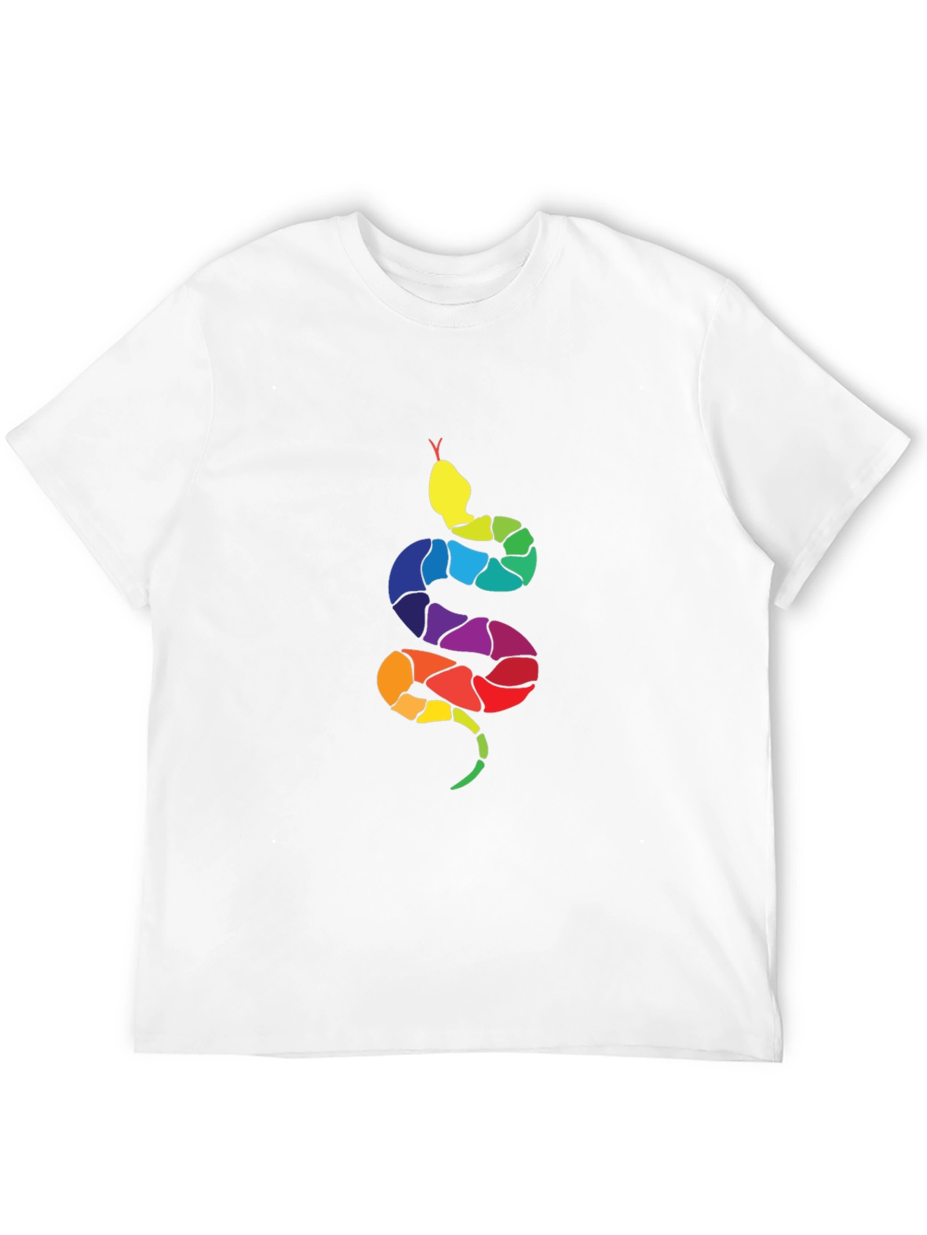 Rainbow Snake Graphic Tee - Mens Black T-Shirt