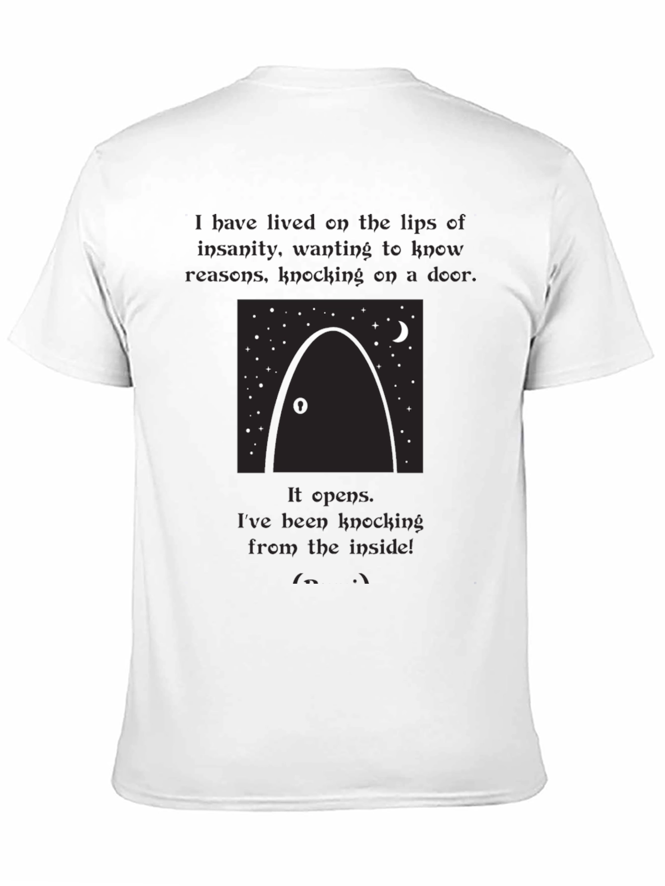 Door to Insanity T-Shirt