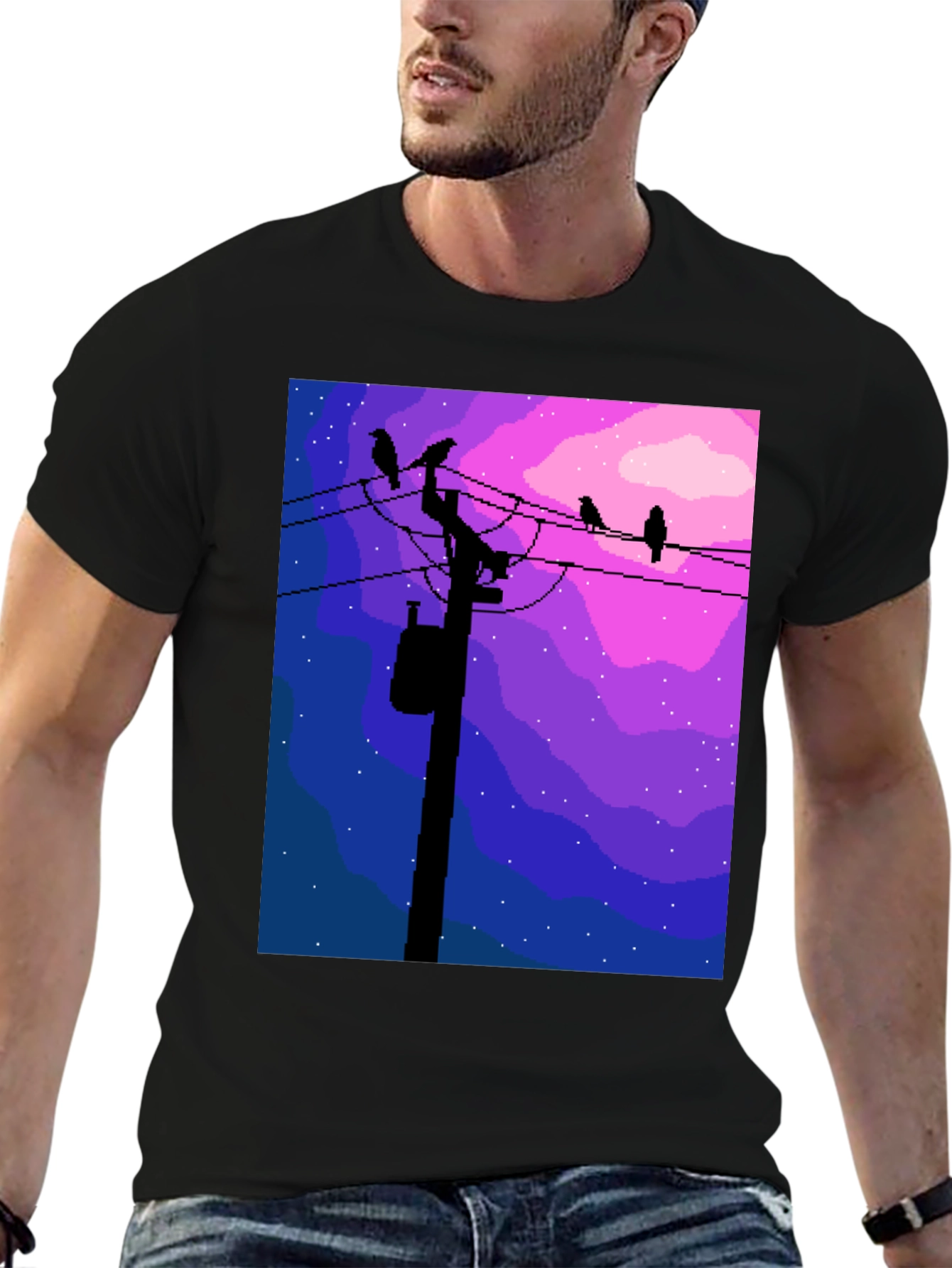 Pixel Art Birds on a Wire Graphic Tee