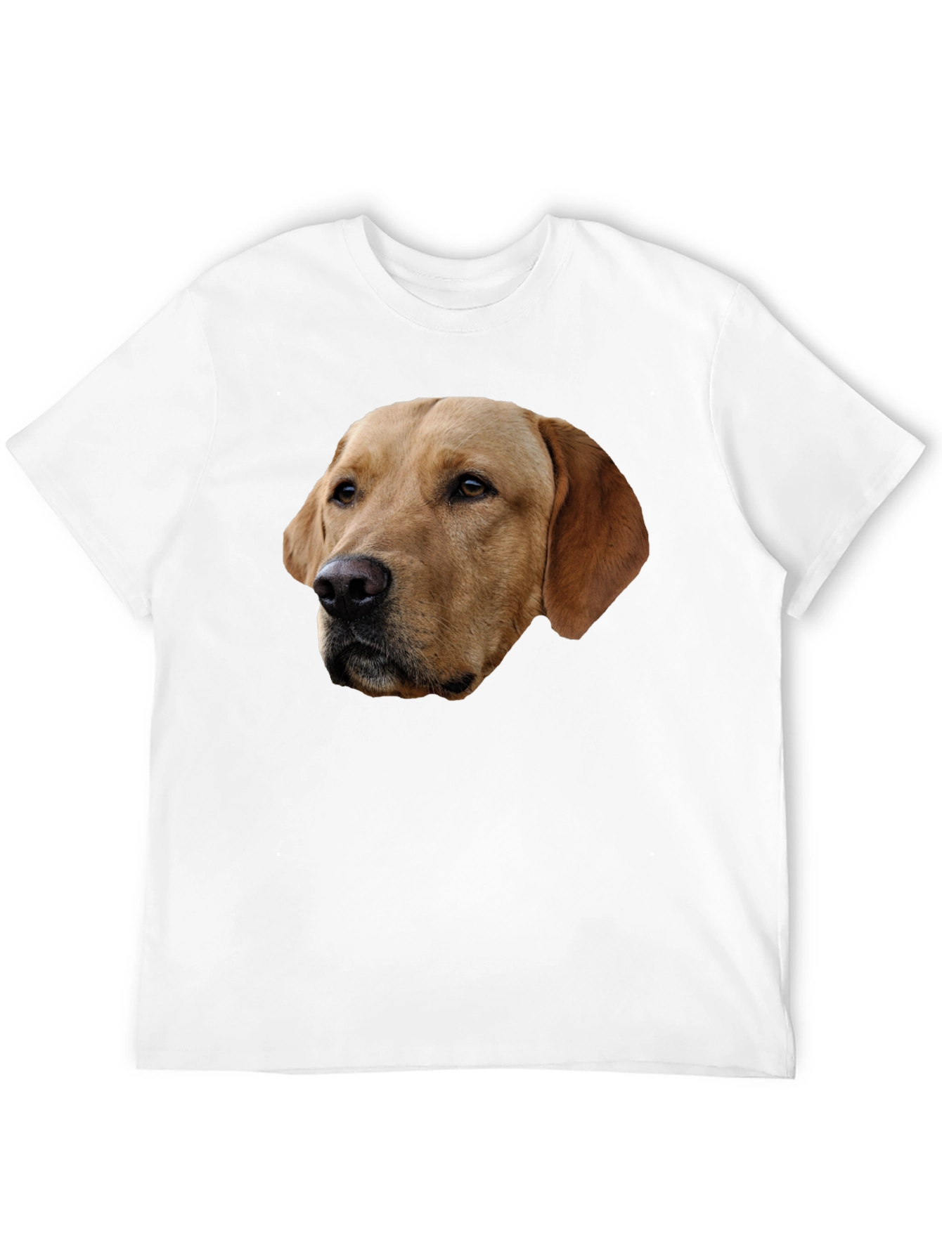 Labrador Dog Graphic T-Shirt