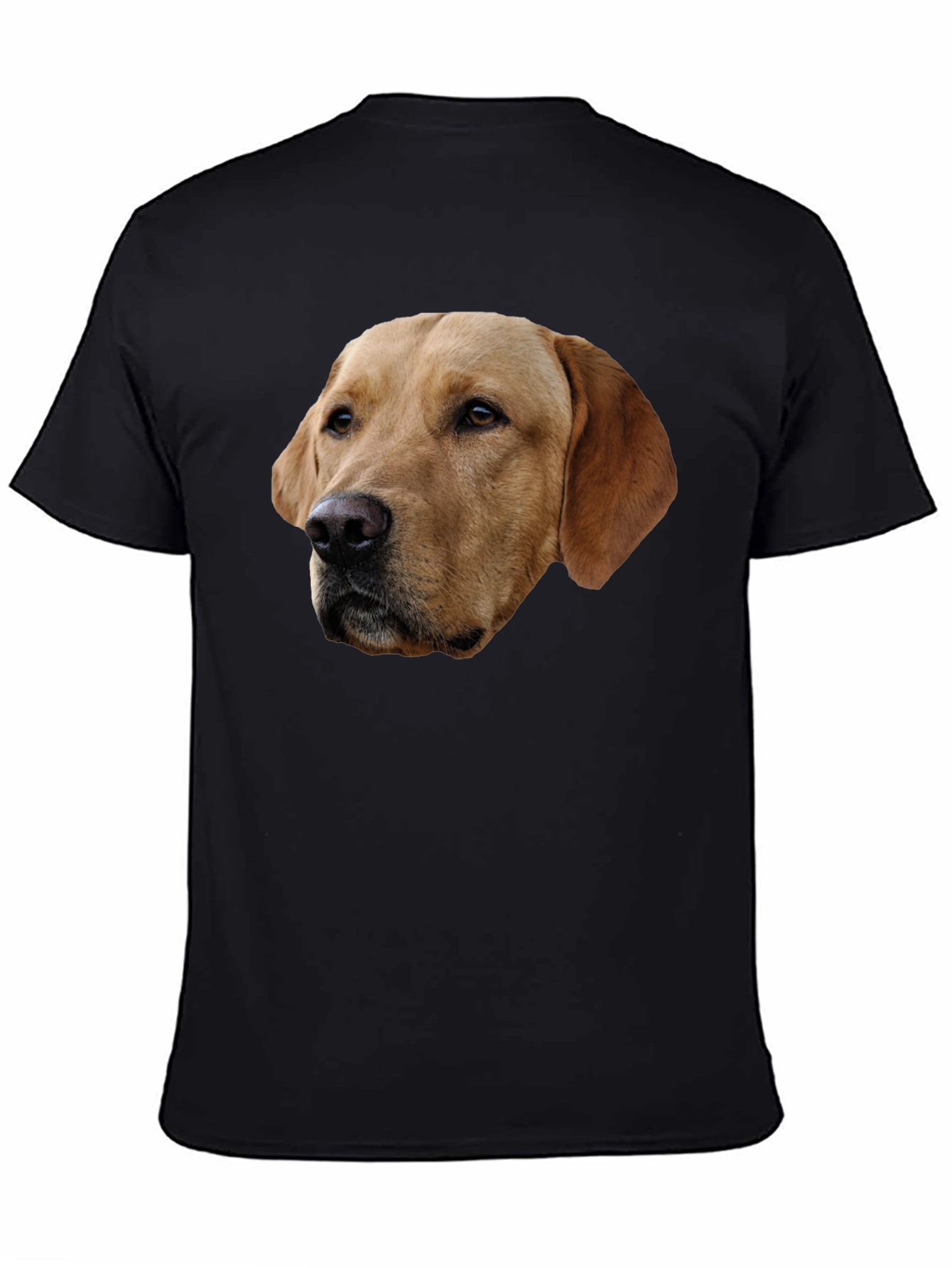 Labrador Dog Graphic T-Shirt