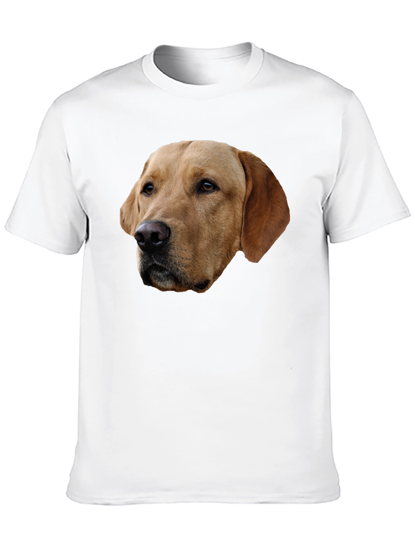 Labrador Dog Graphic T-Shirt