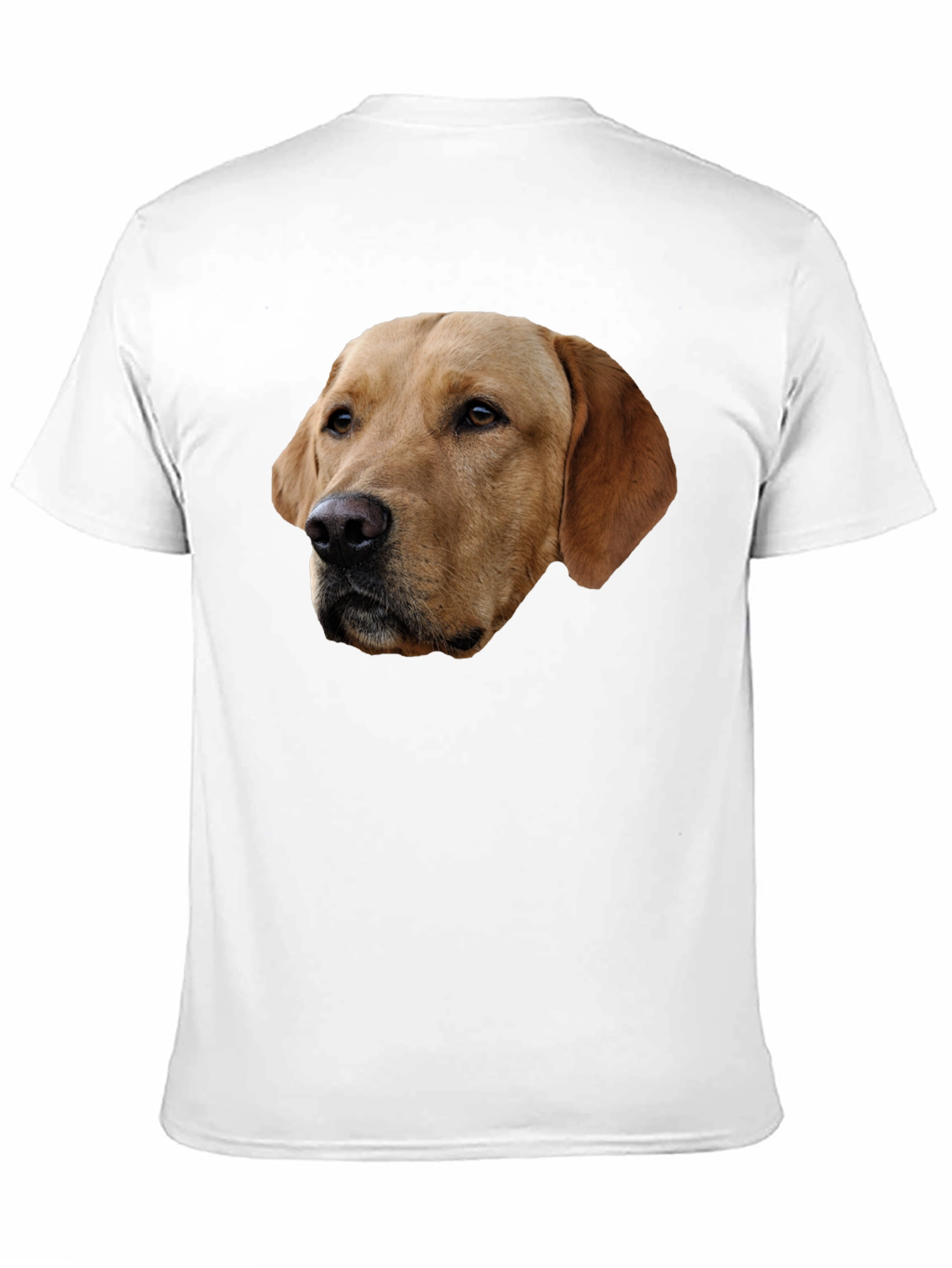 Labrador Dog Graphic T-Shirt