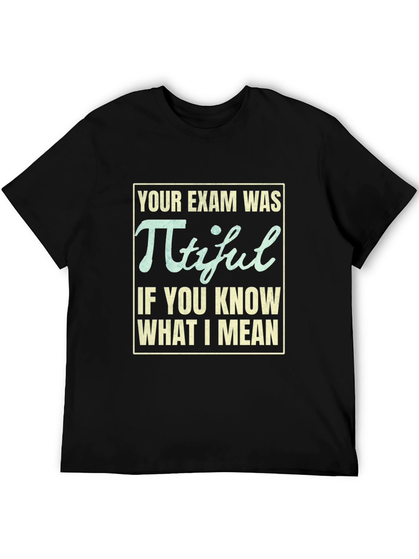 Pi-tiful Math Pun T-Shirt - Funny Exam Tee