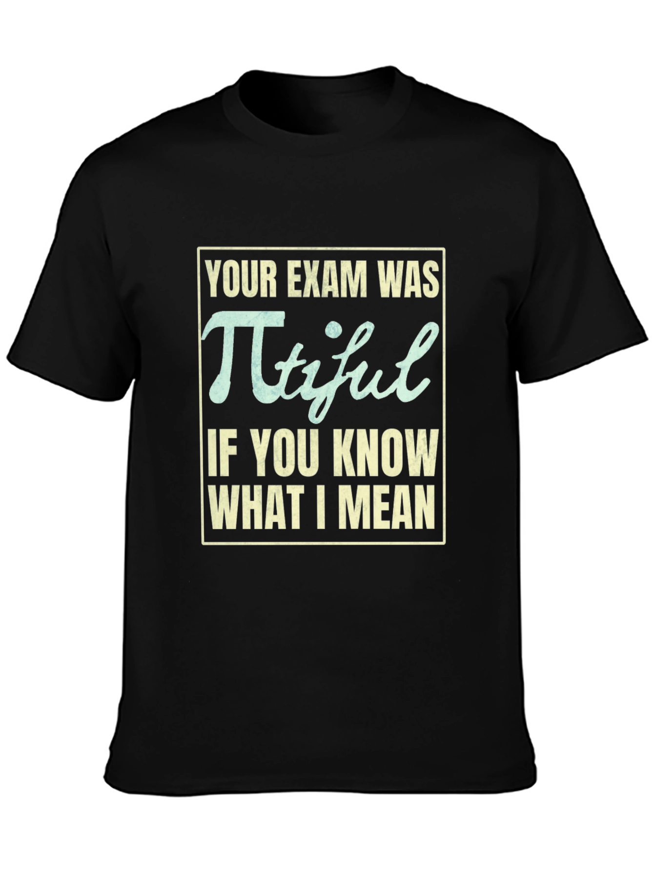 Pi-tiful Math Pun T-Shirt - Funny Exam Tee