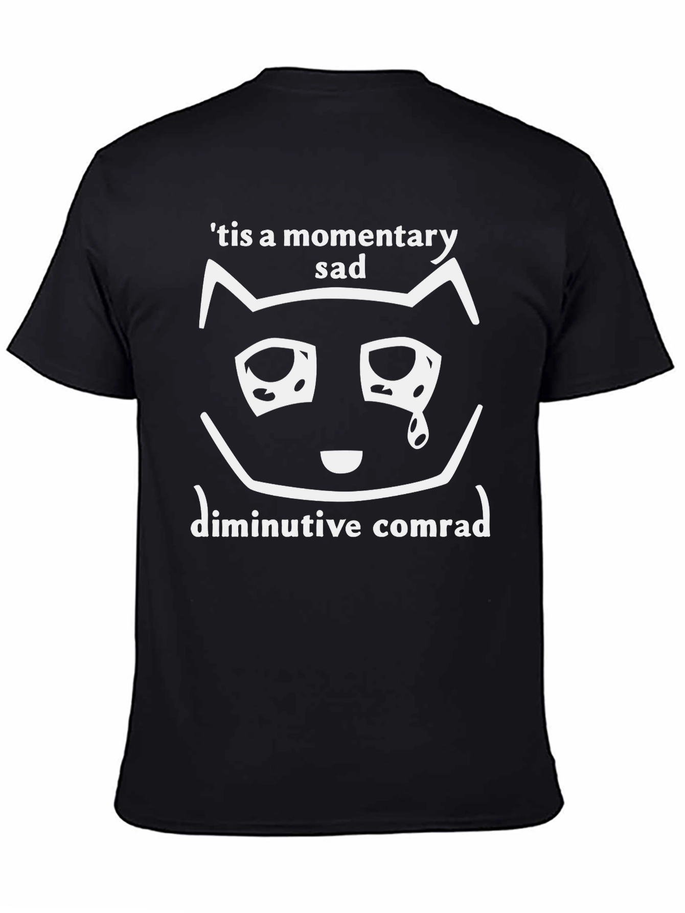 Momentary Sad Cat T-Shirt - Unisex Graphic Tee