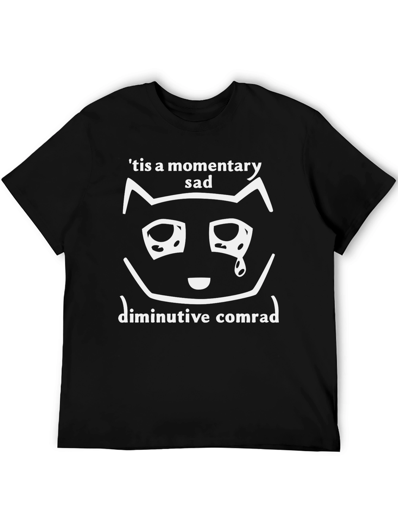 Momentary Sad Cat T-Shirt - Unisex Graphic Tee