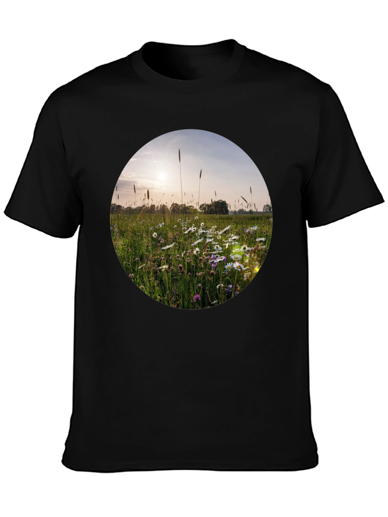 Field of Daisies Graphic Tee