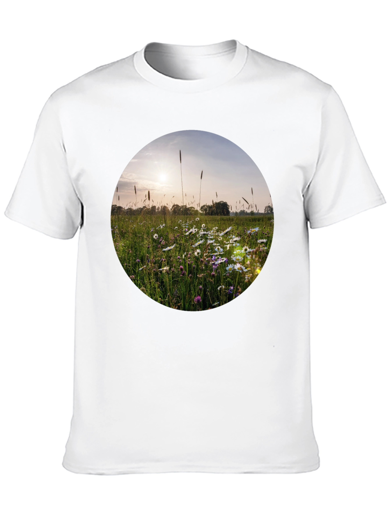 Field of Daisies Graphic Tee