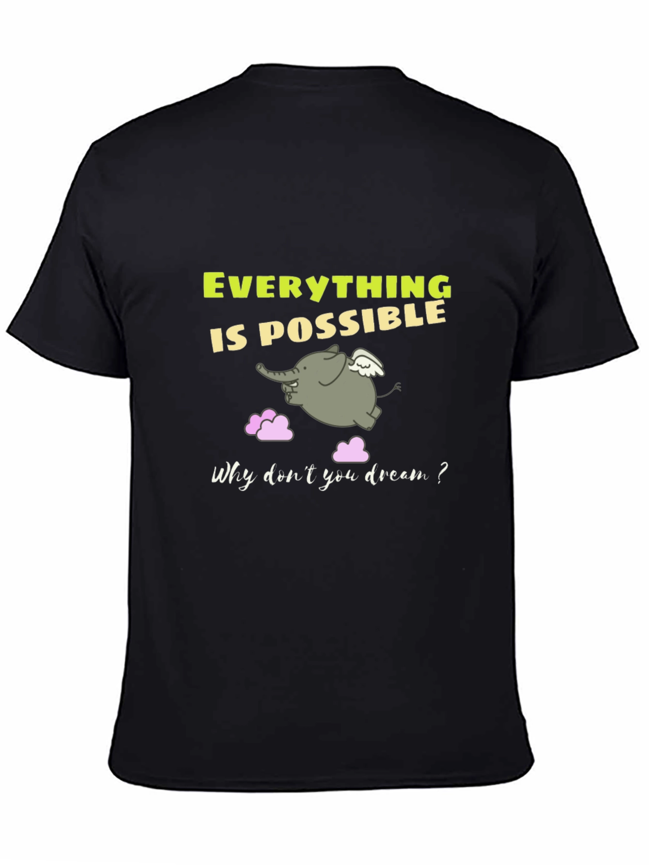 Everything is Possible Graphic T-Shirt
