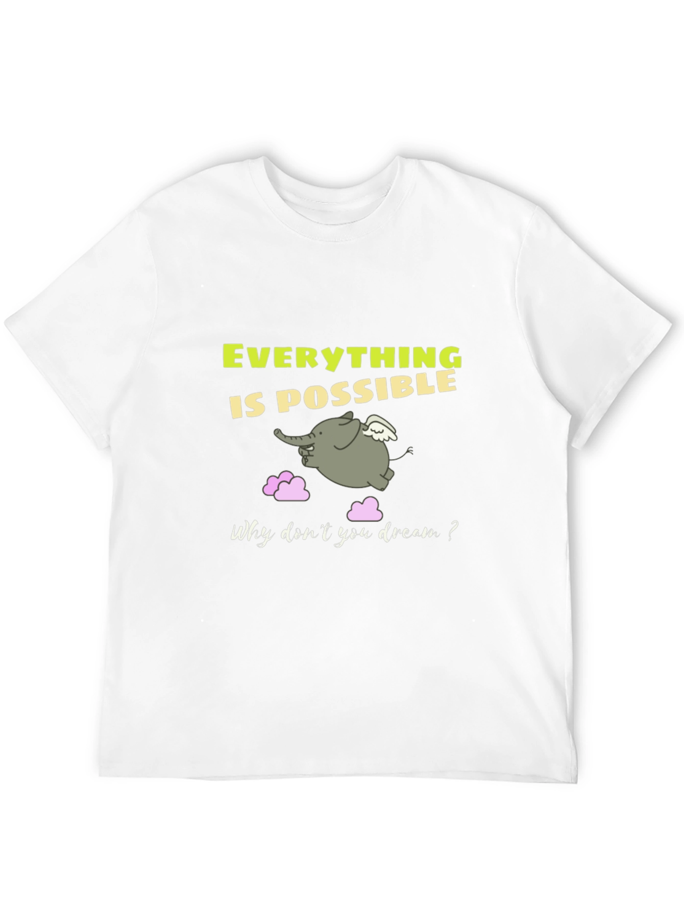 Everything is Possible Graphic T-Shirt