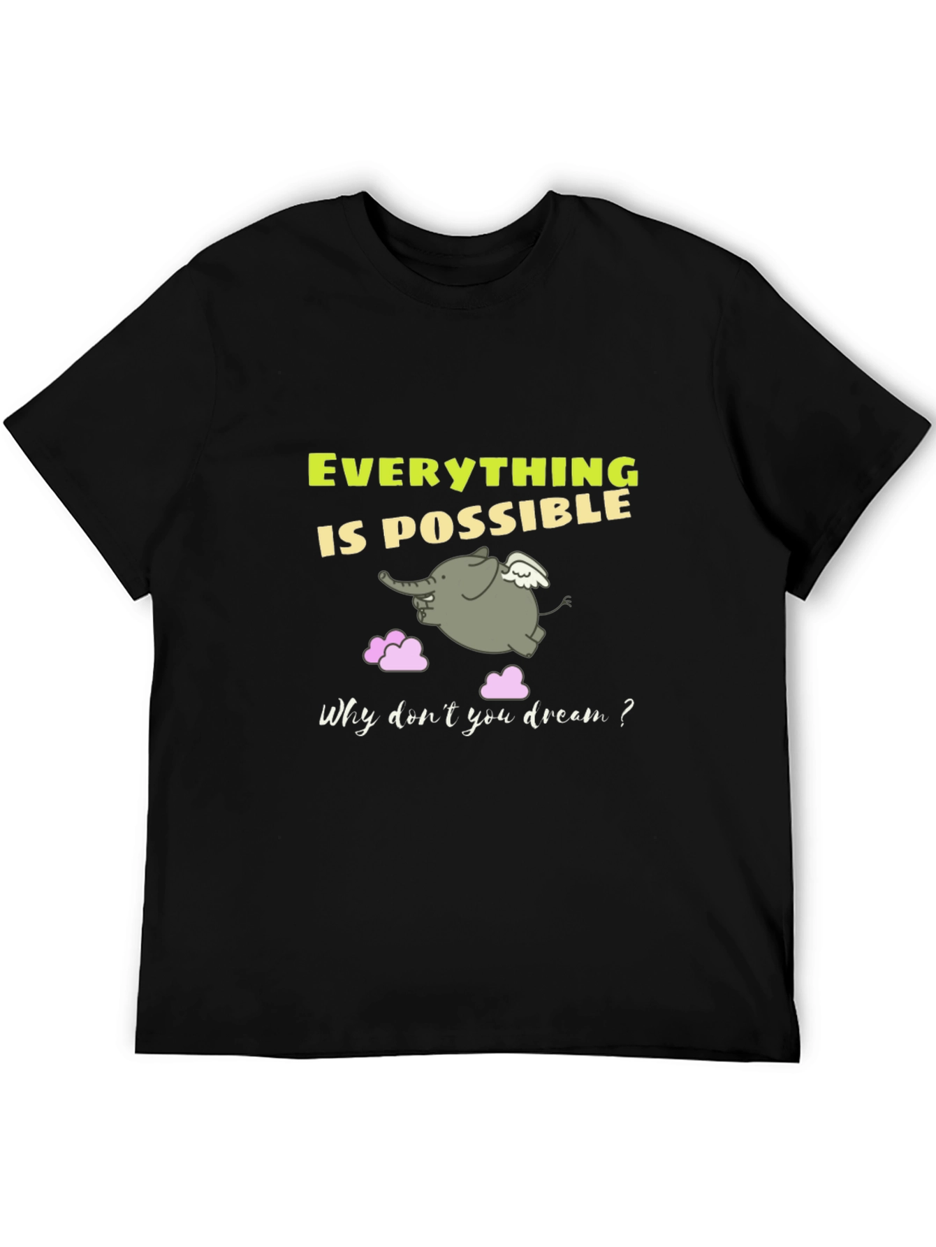 Everything is Possible Graphic T-Shirt