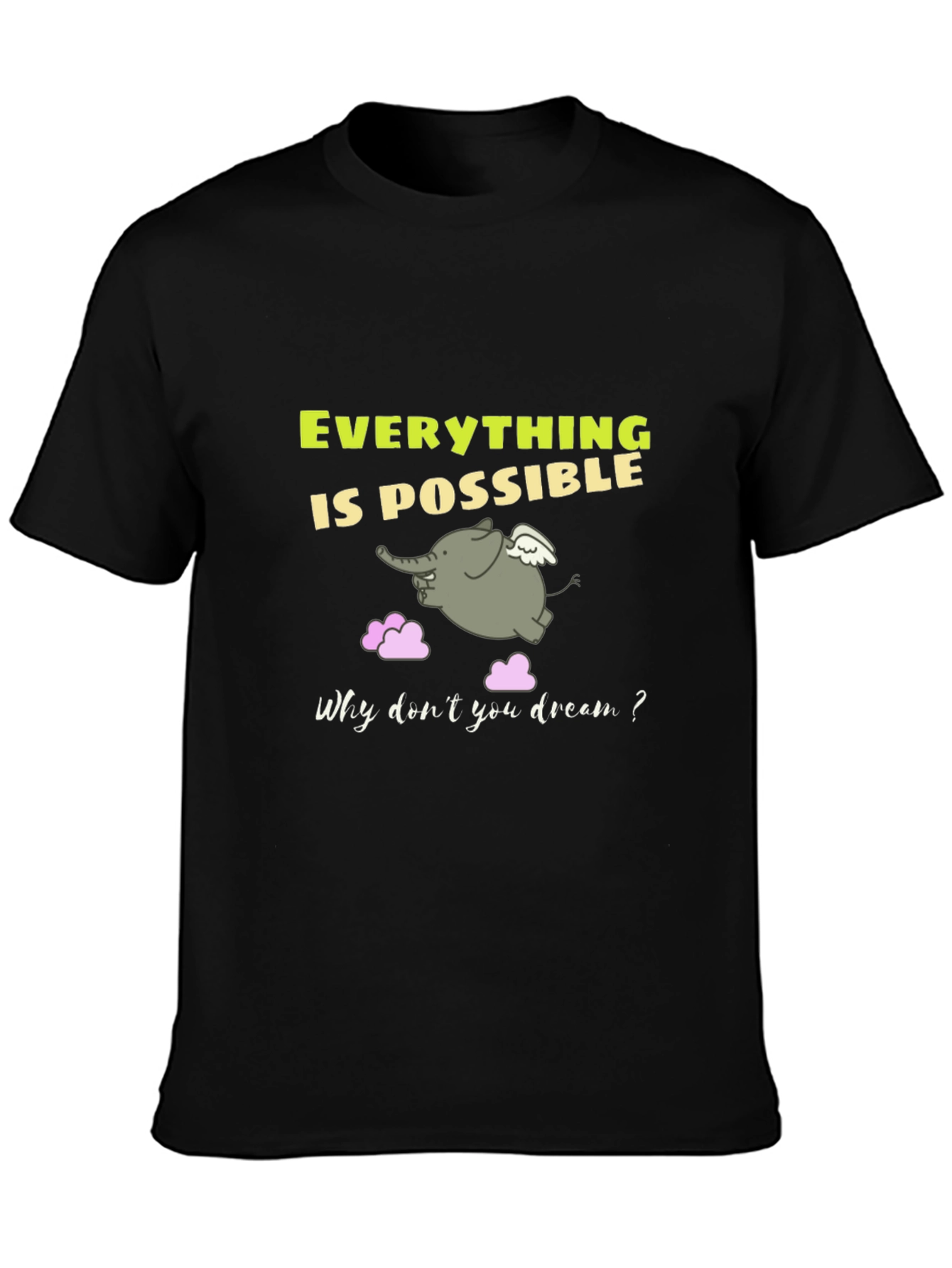 Everything is Possible Graphic T-Shirt