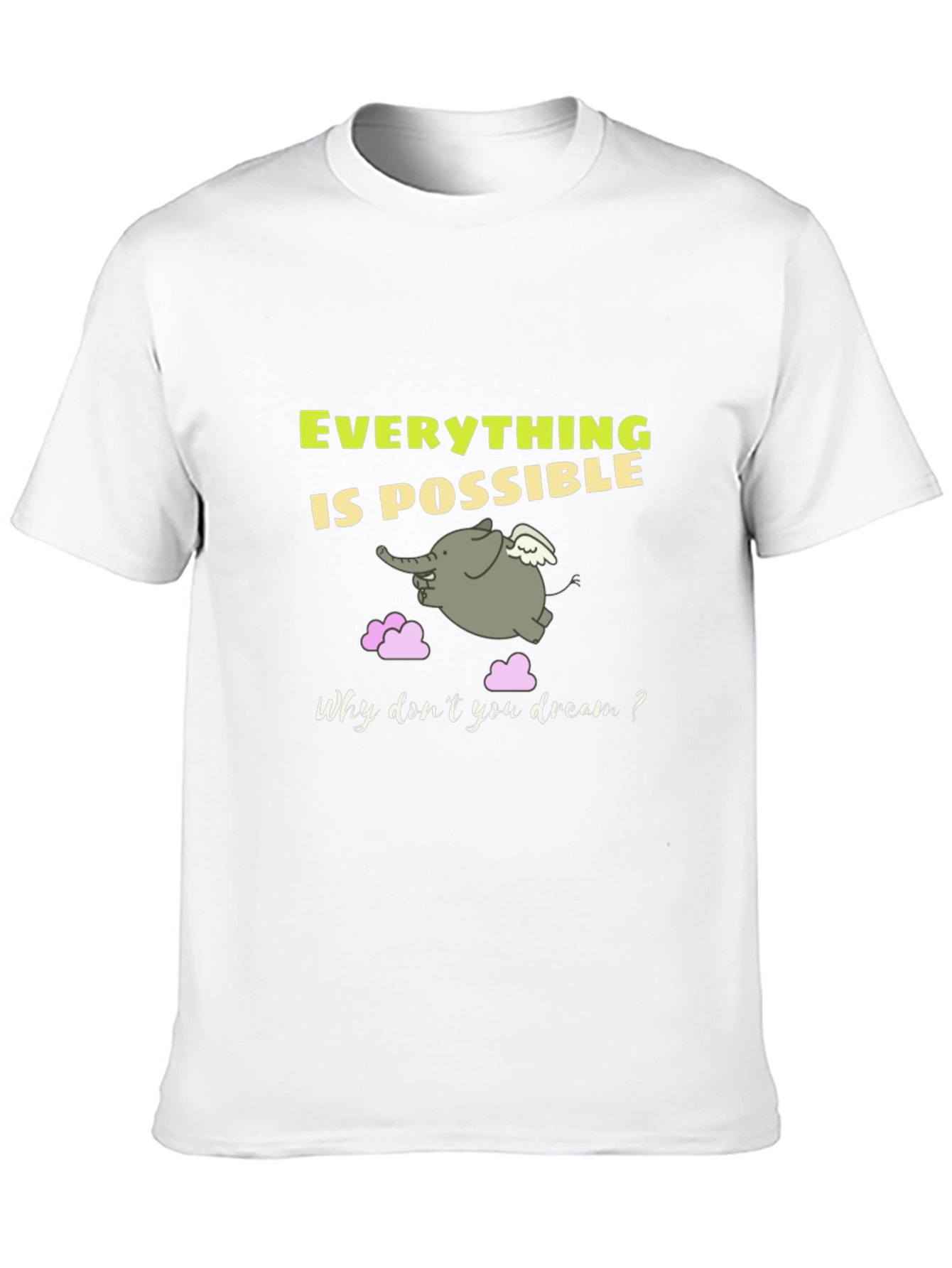 Everything is Possible Graphic T-Shirt