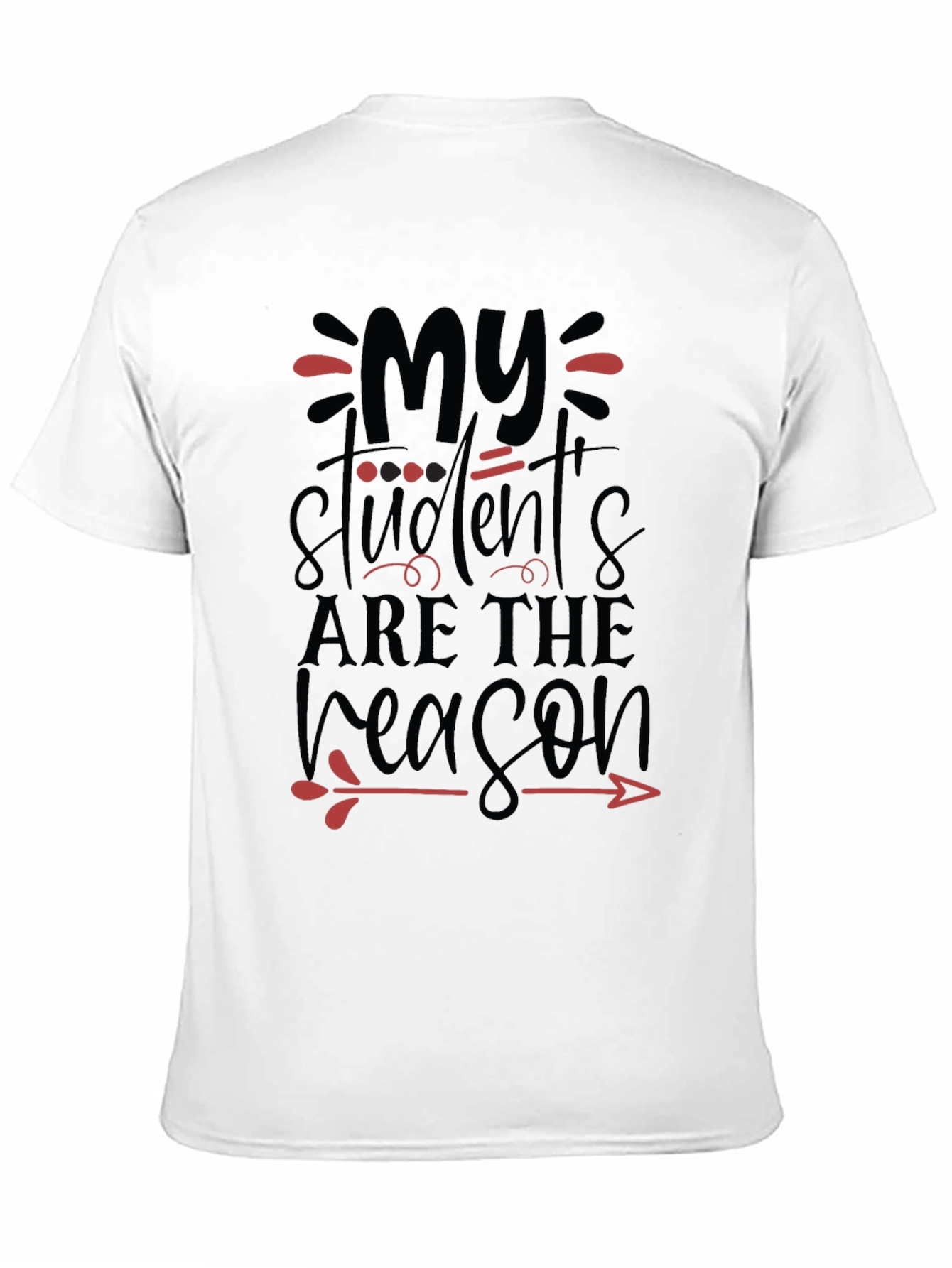 My Students Are The Reason Teacher T-Shirt