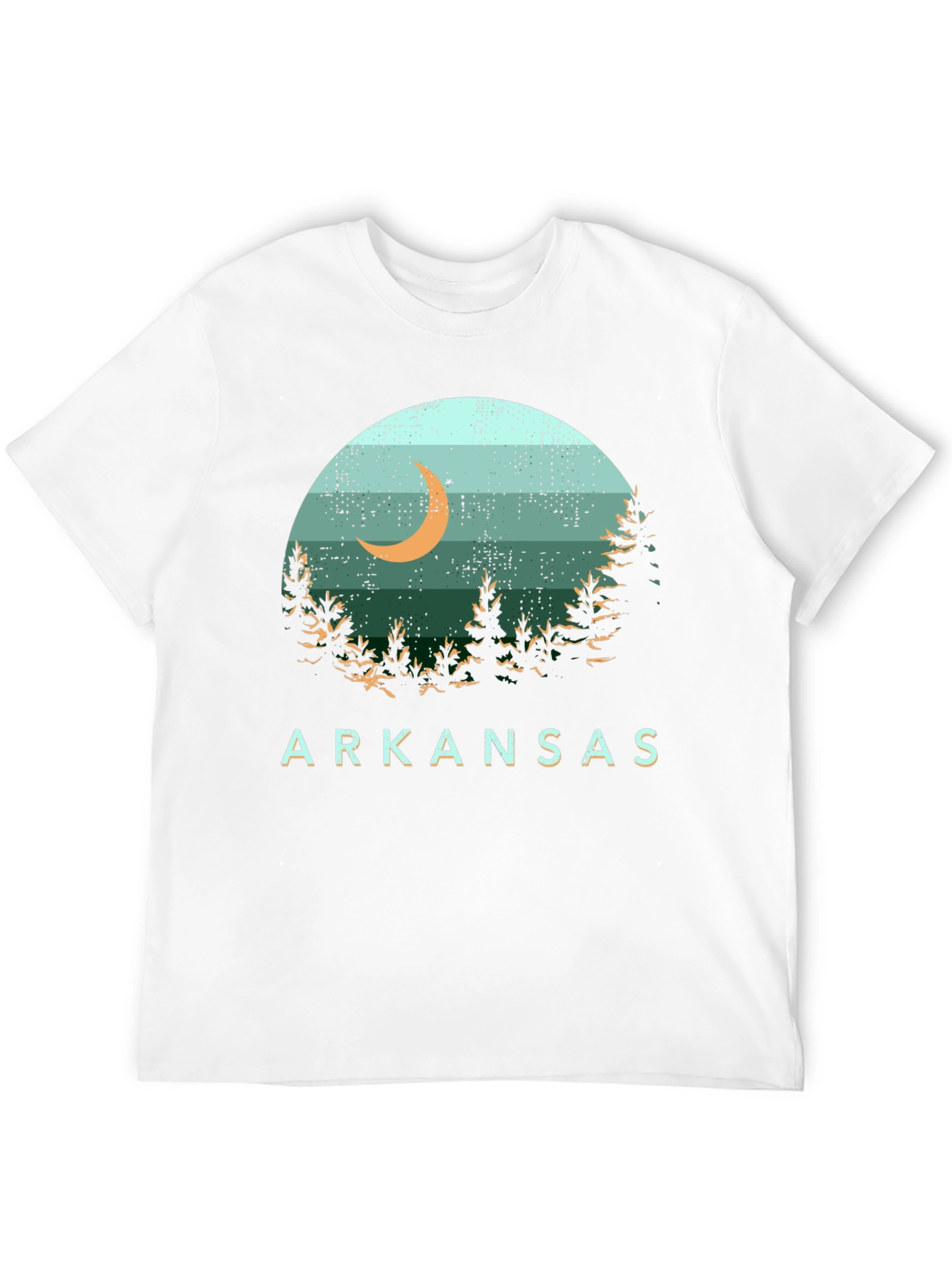 Arkansas Graphic Tee - Nature Scene Black T-Shirt