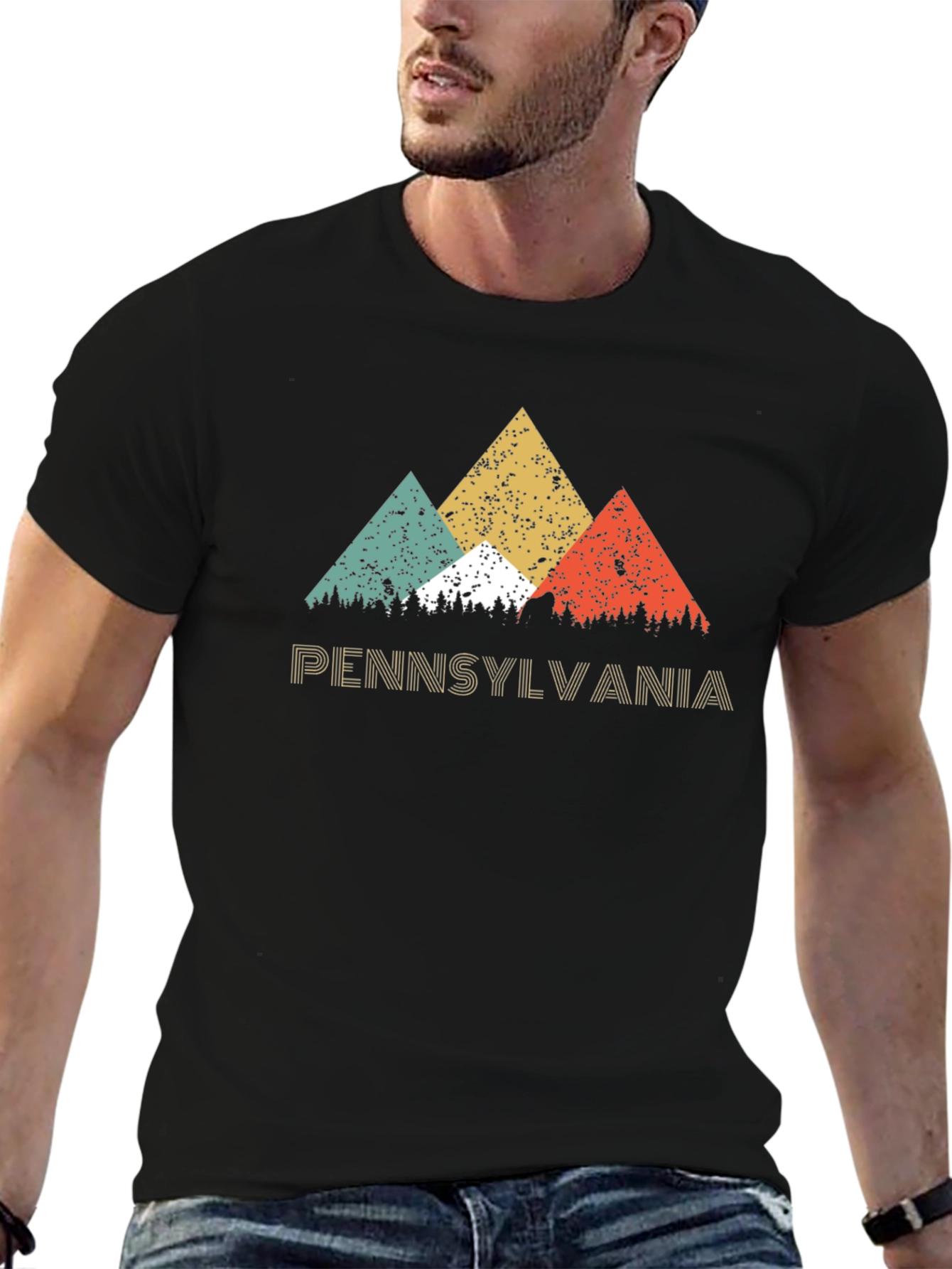Pennsylvania Graphic T-Shirt - Retro Mountain Design