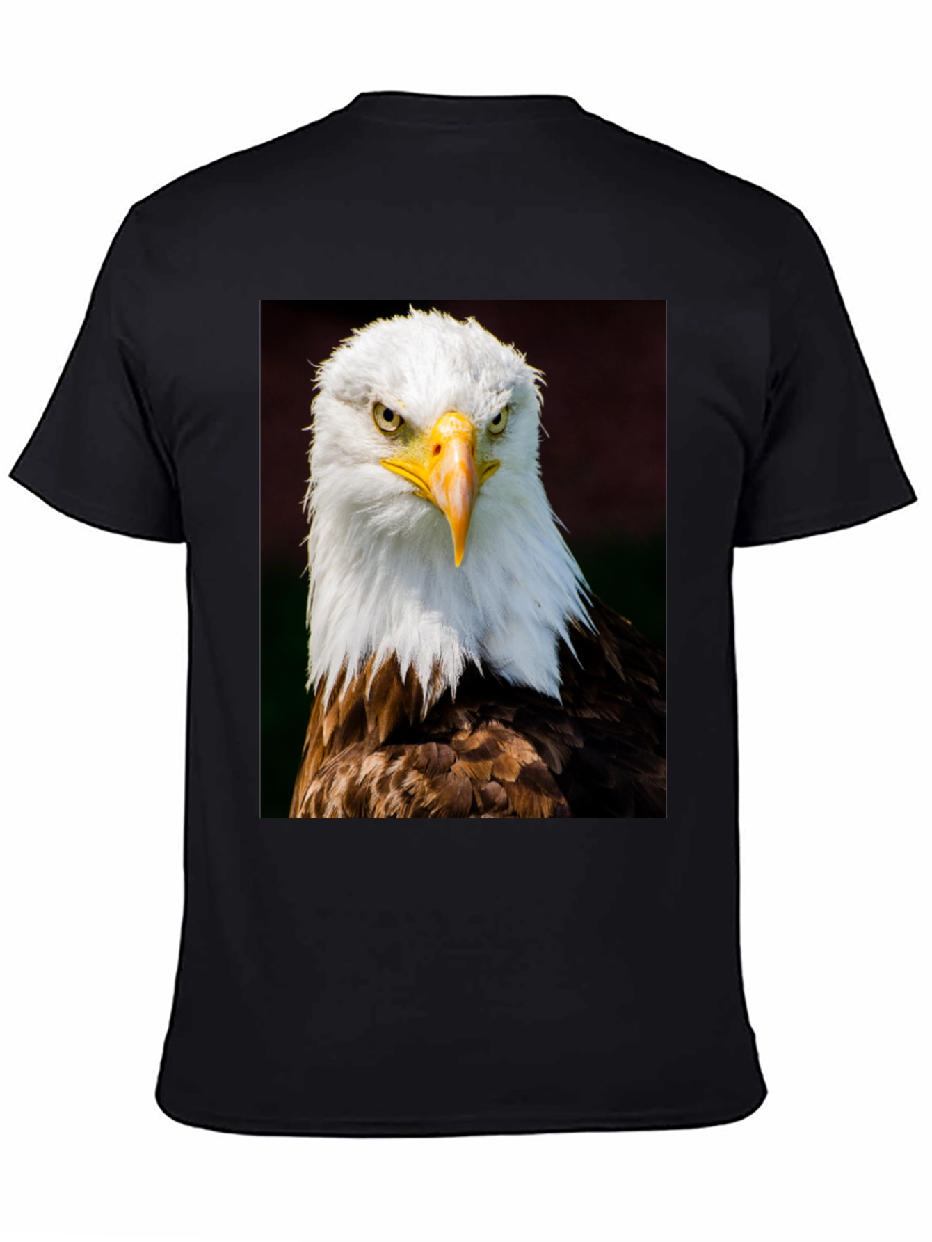 Eagle Graphic T-Shirt - Bold Bird of Prey Design