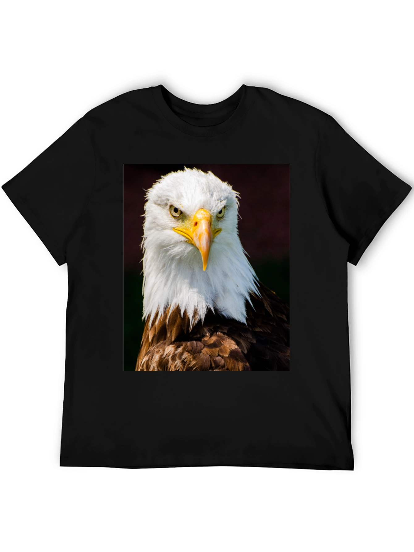 Eagle Graphic T-Shirt - Bold Bird of Prey Design
