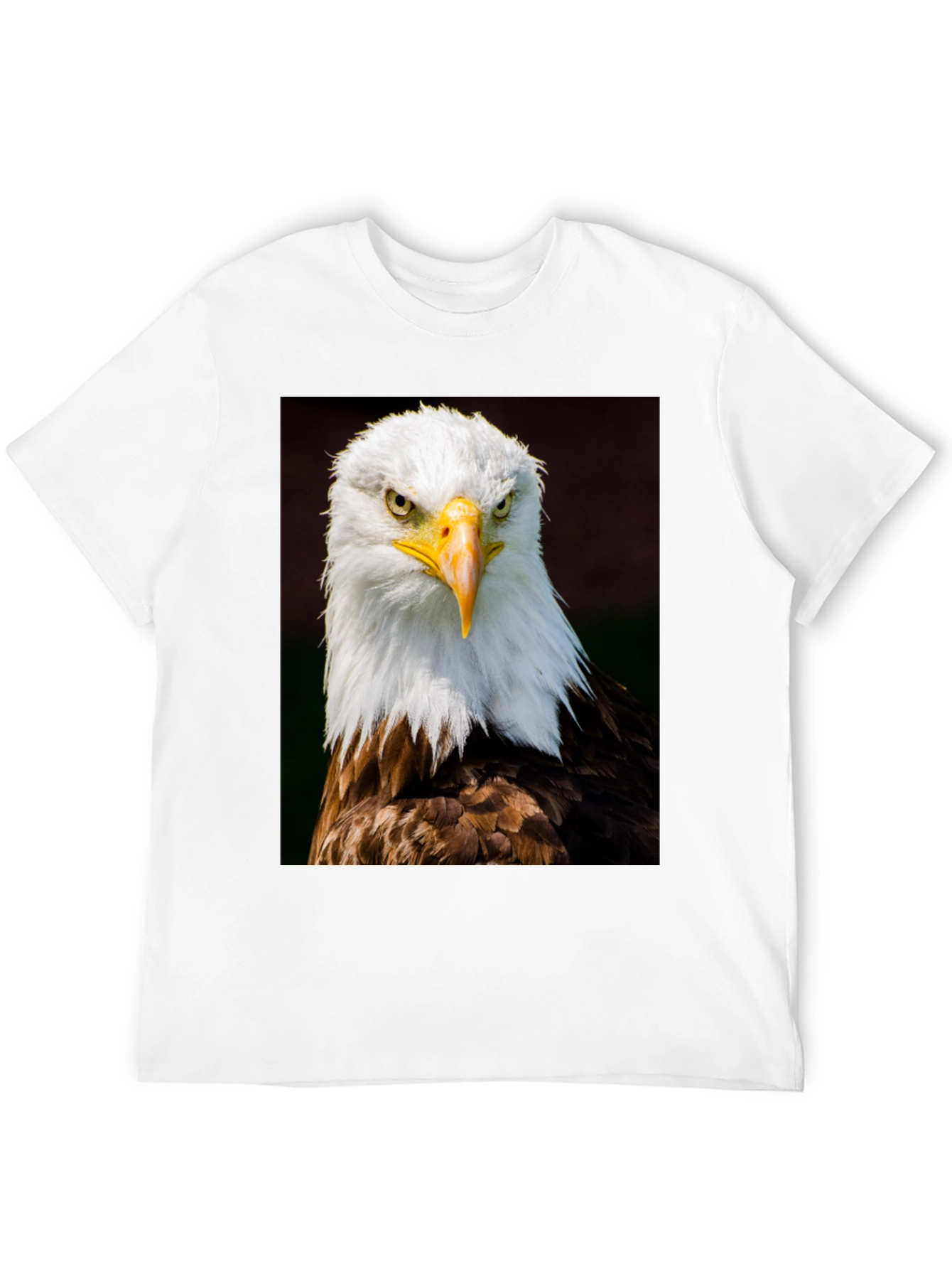 Eagle Graphic T-Shirt - Bold Bird of Prey Design