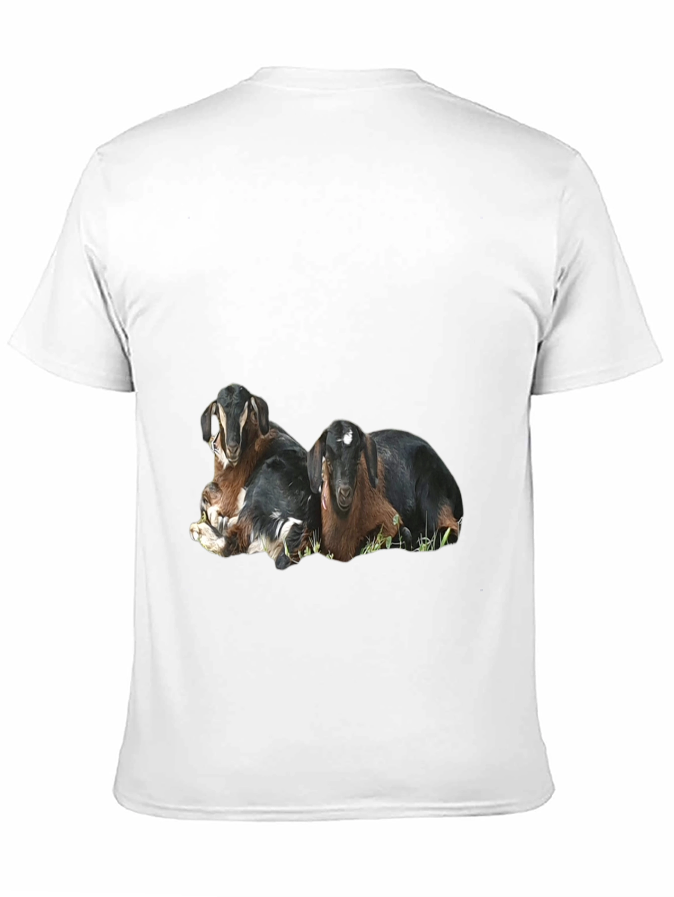 Goat Graphic Black T-Shirt