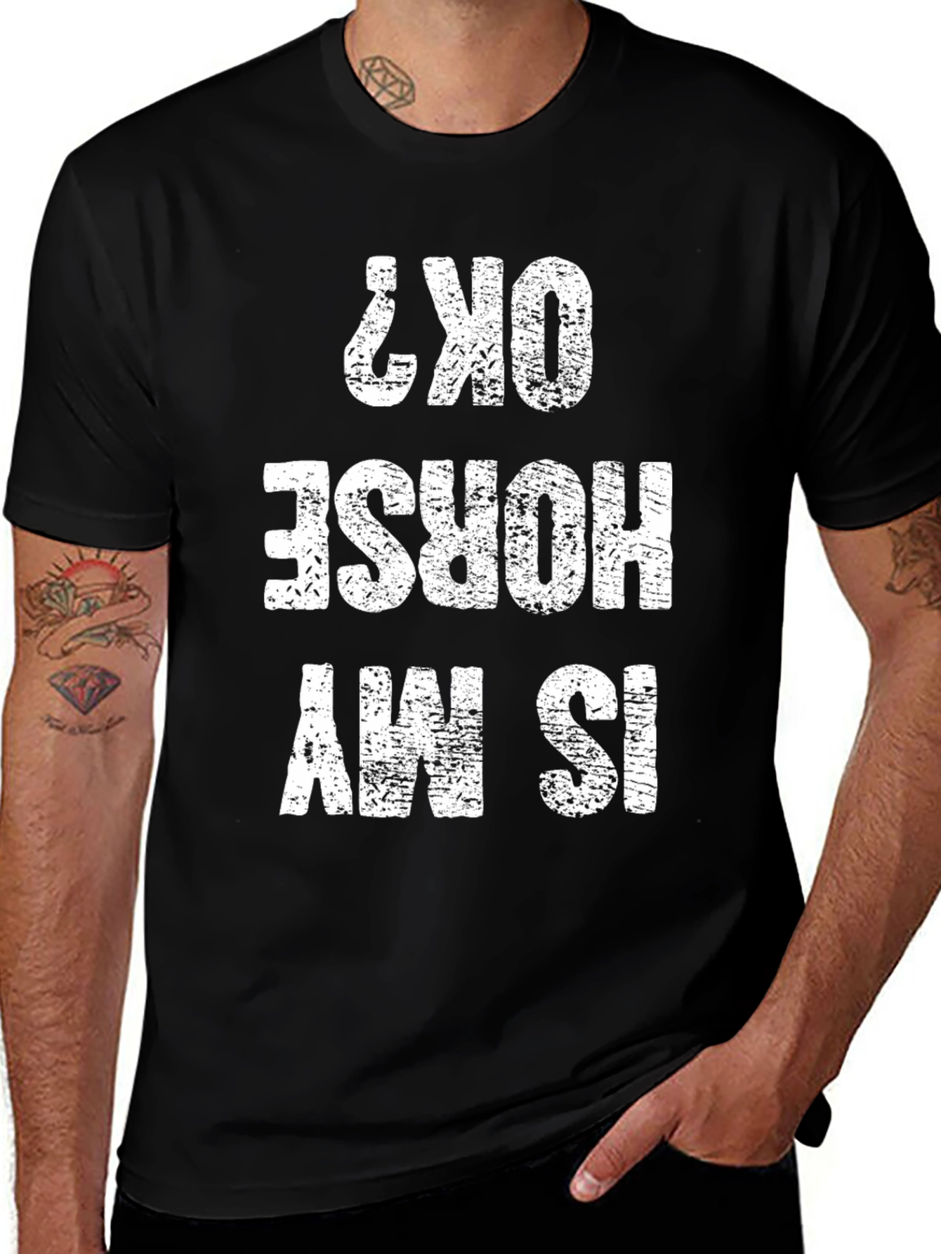 Is My Horse OK? Graphic Novelty Tee