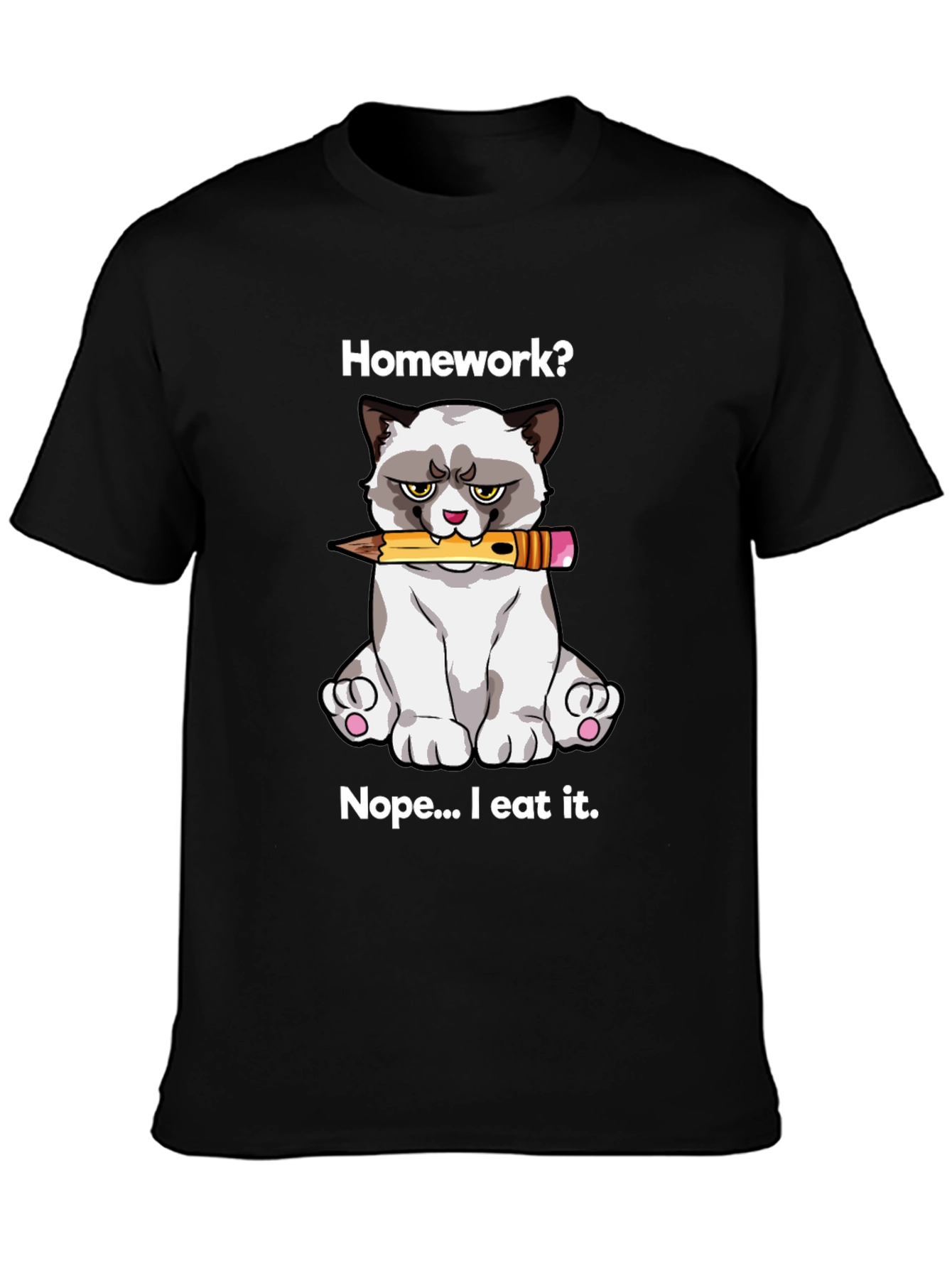 Grumpy Cat Homework T-Shirt: Funny Novelty Tee