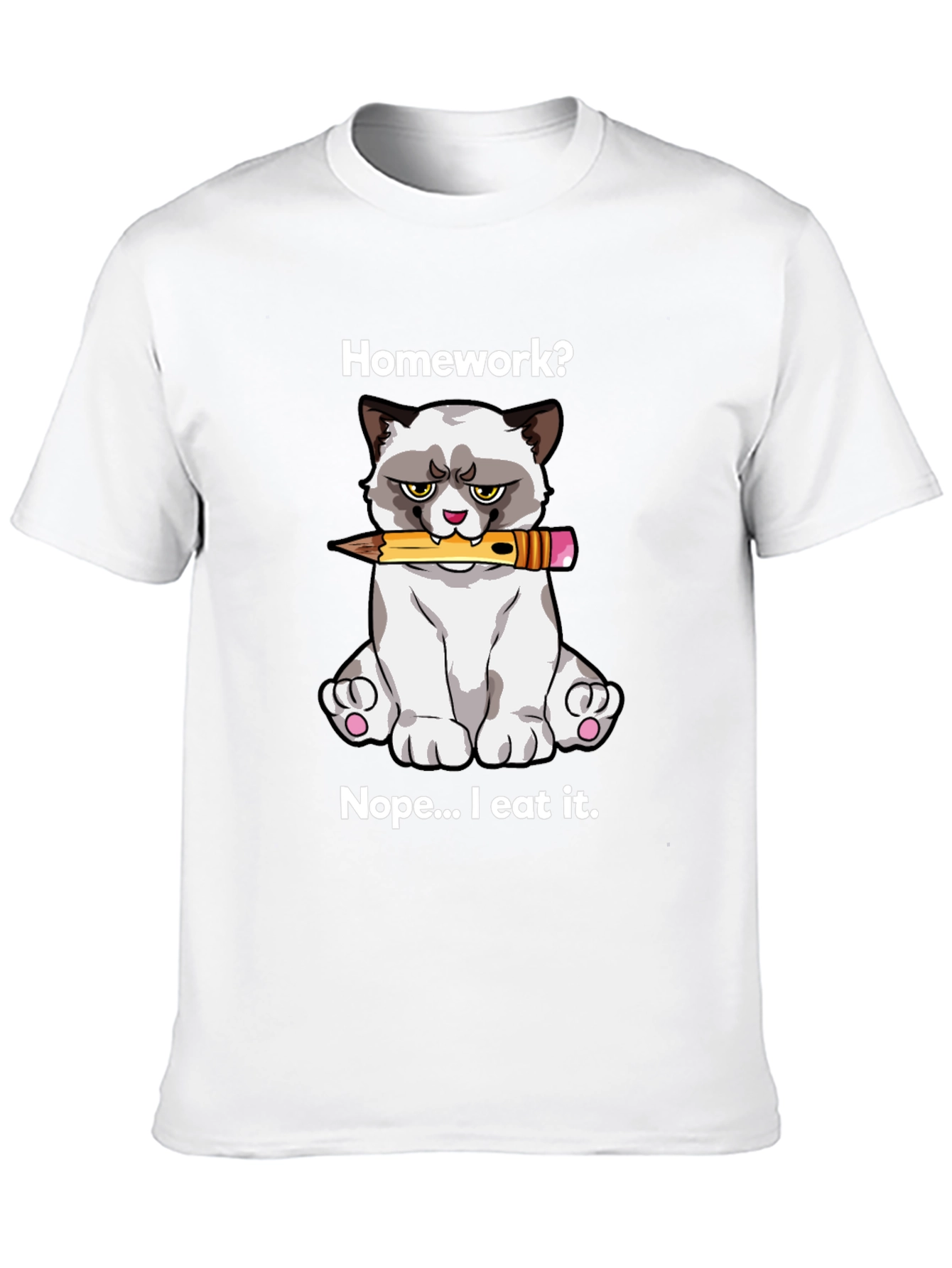 Grumpy Cat Homework T-Shirt: Funny Novelty Tee