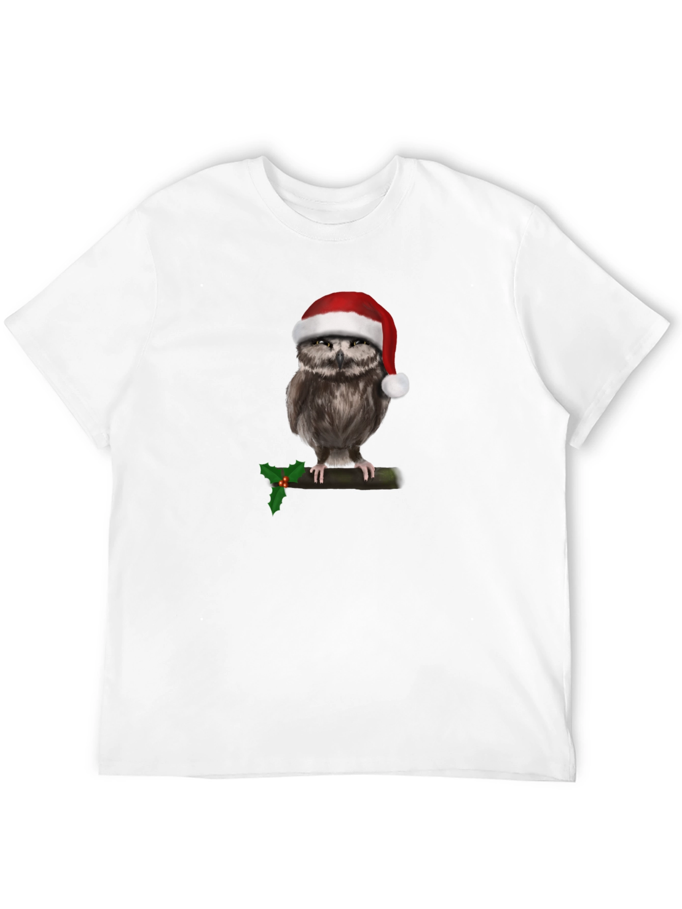Festive Owl T-Shirt
