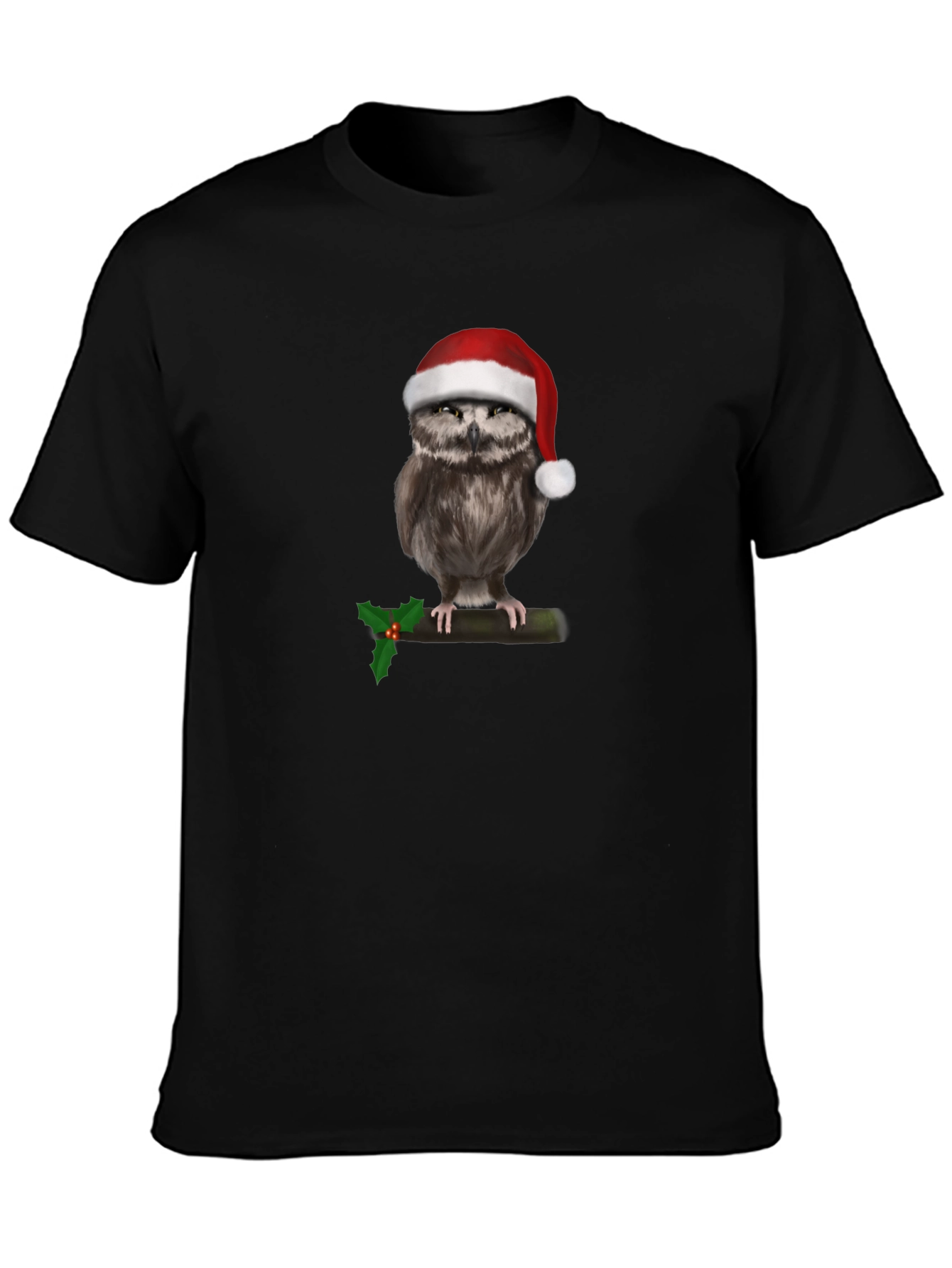 Festive Owl T-Shirt