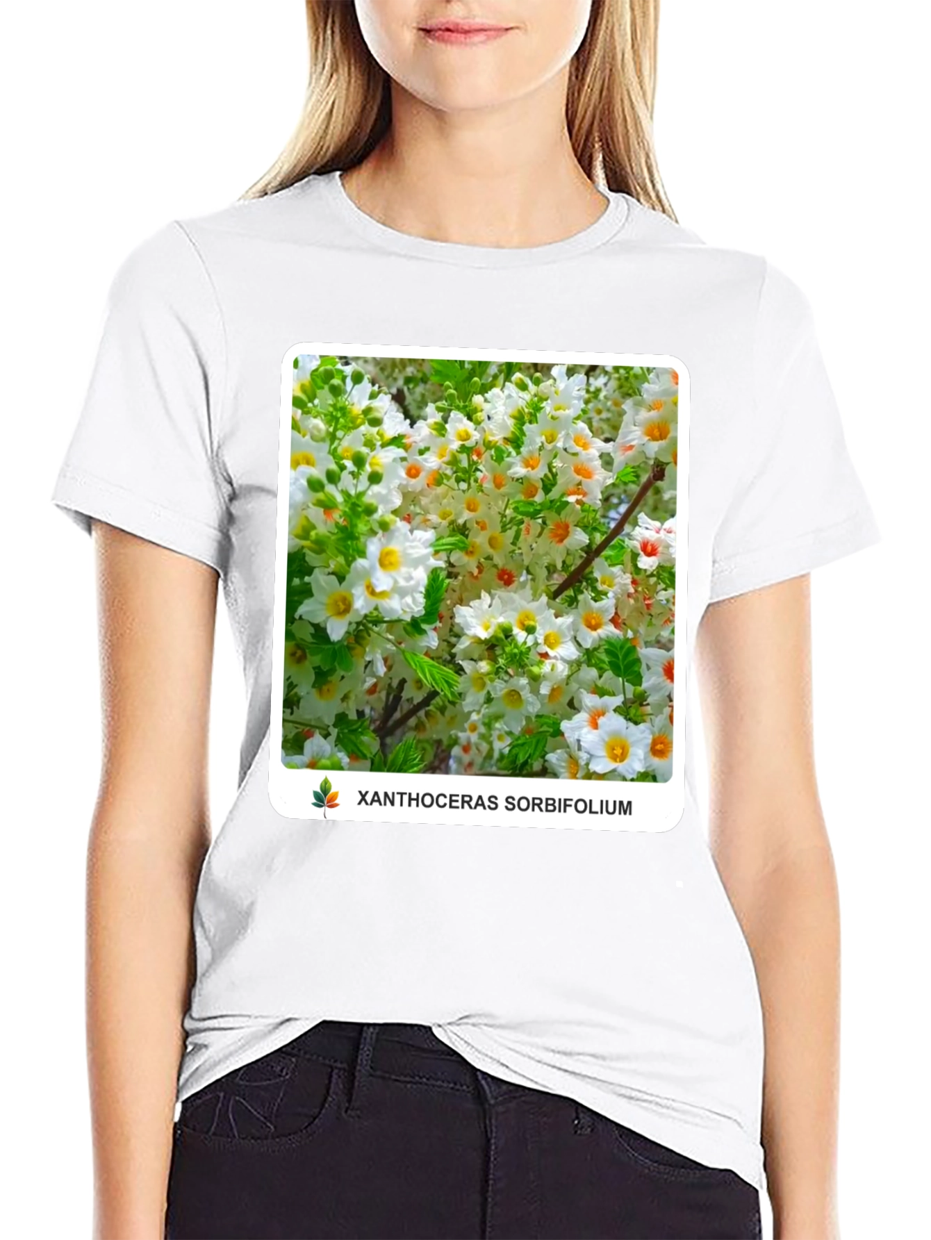 Xanthoceras Sorbifolium Black T-Shirt