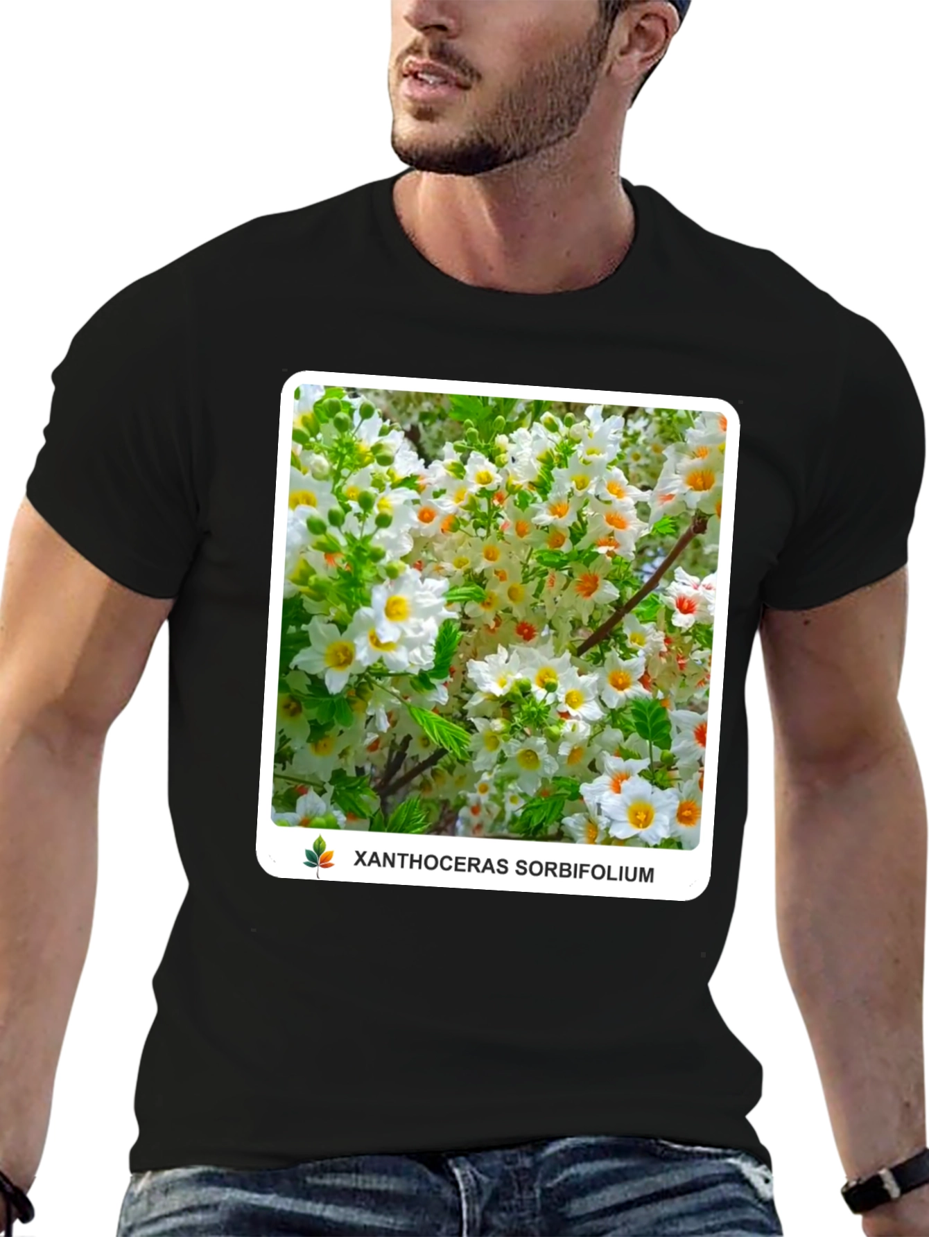 Xanthoceras Sorbifolium Black T-Shirt
