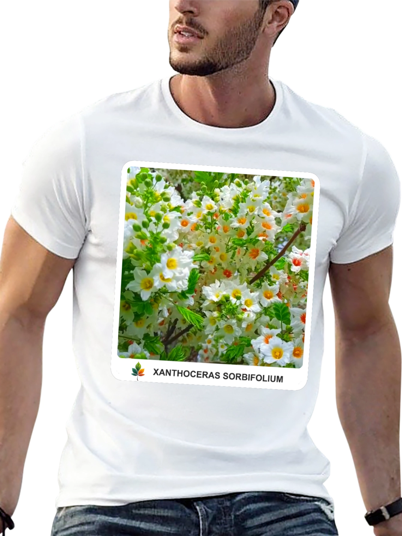 Xanthoceras Sorbifolium Black T-Shirt