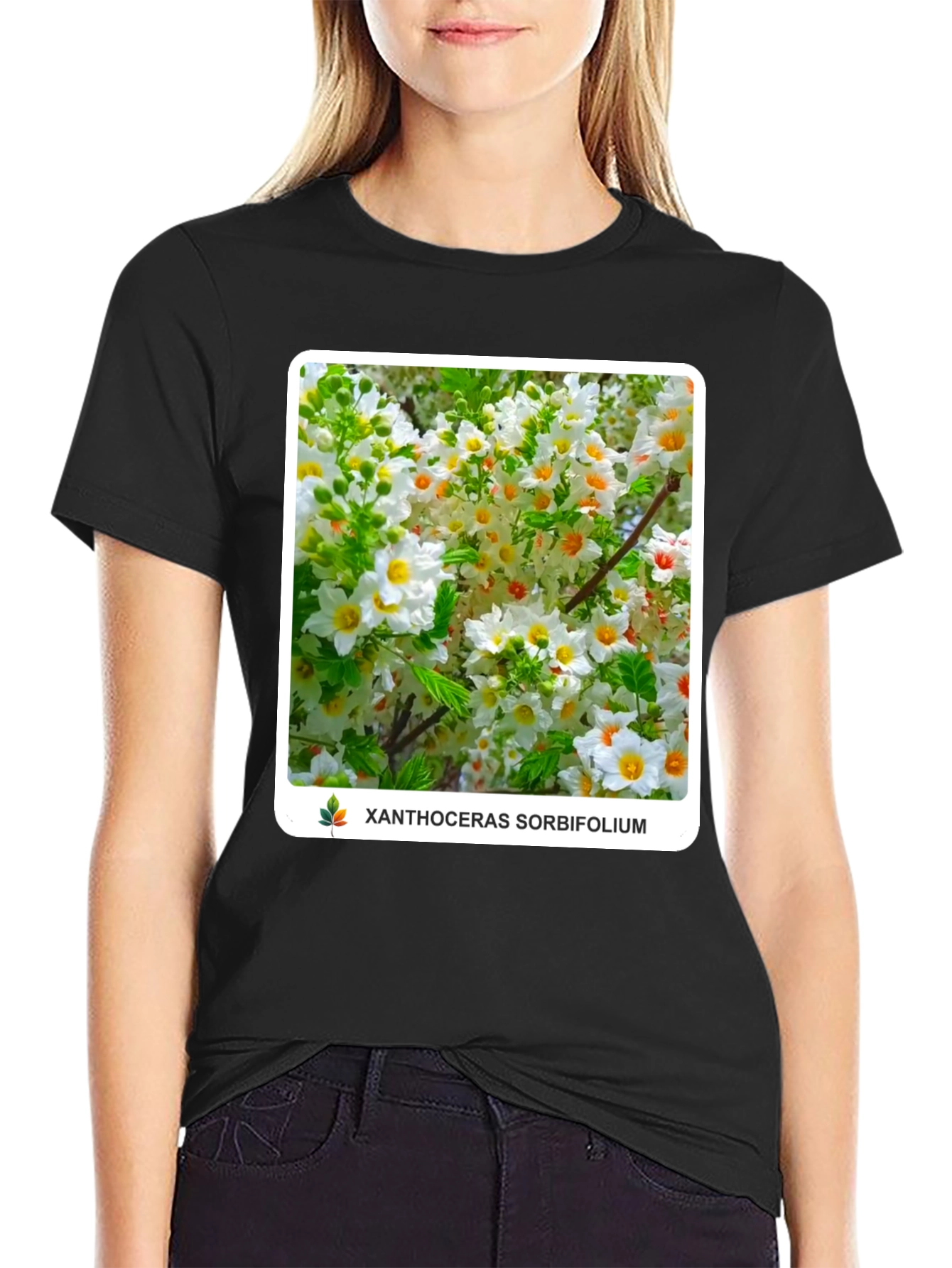 Xanthoceras Sorbifolium Black T-Shirt