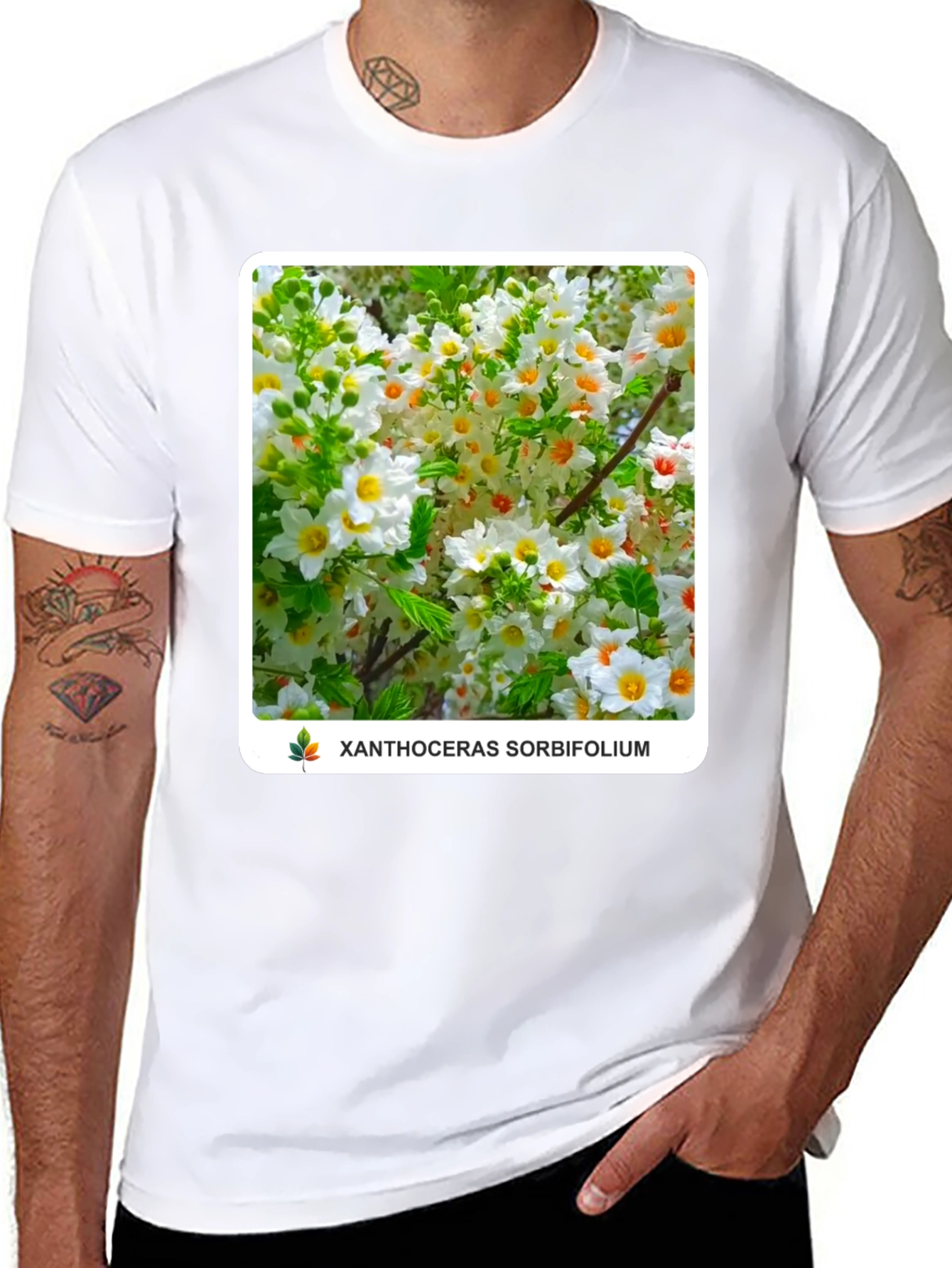 Xanthoceras Sorbifolium Black T-Shirt