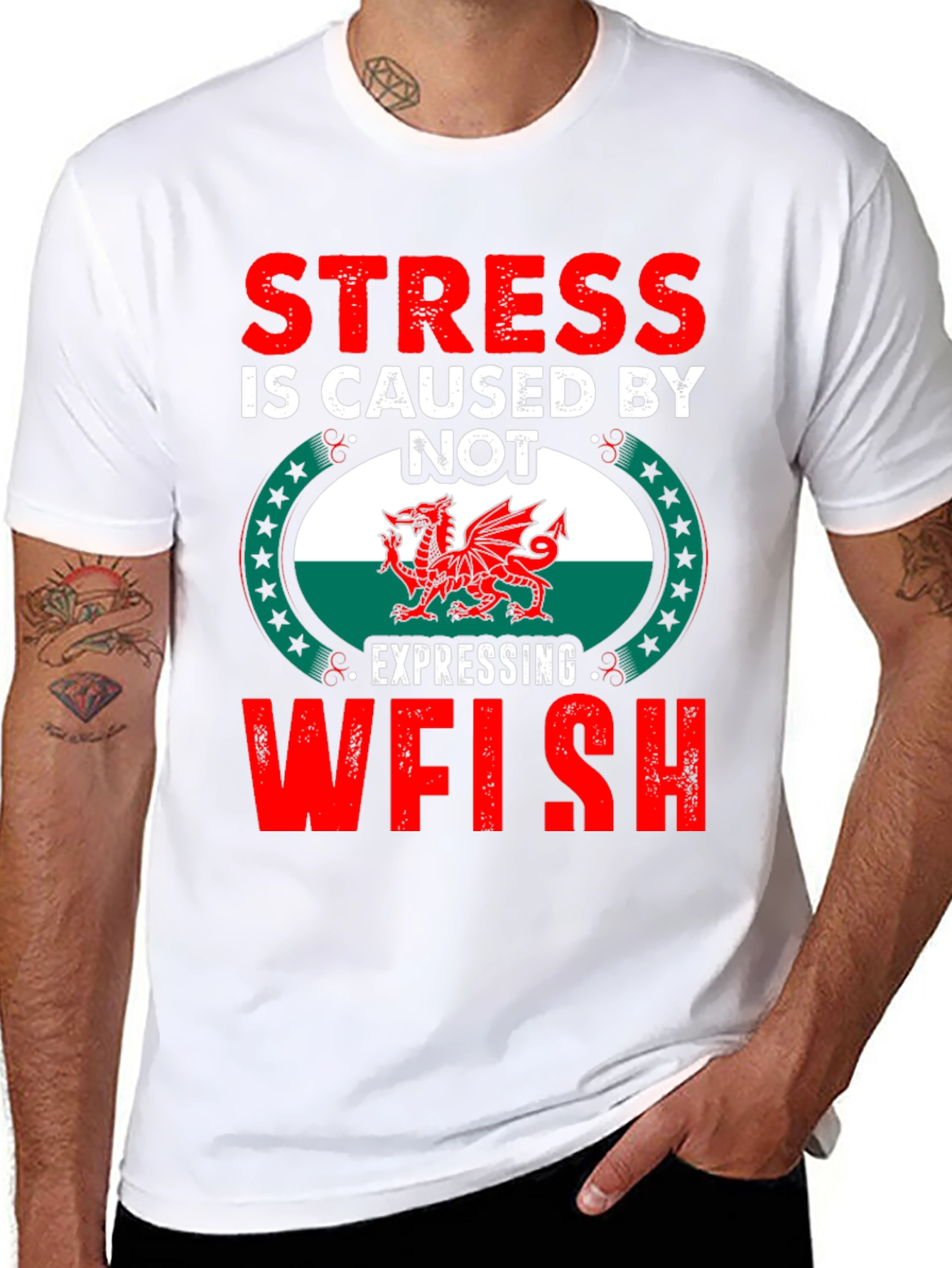 Stress is Caused by Not Expressing Welsh T-Shirt