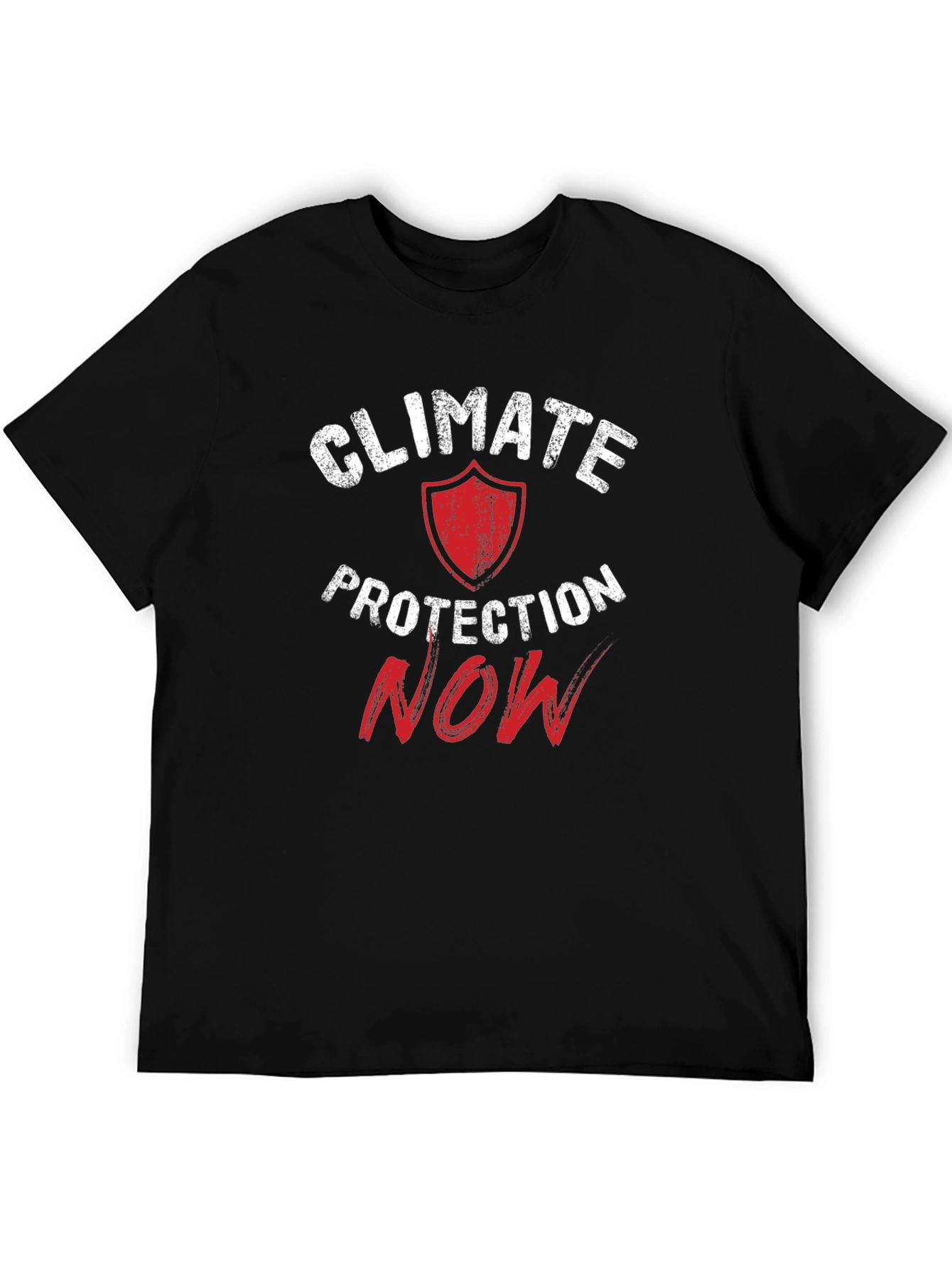 Climate Protection NOW Graphic Tee