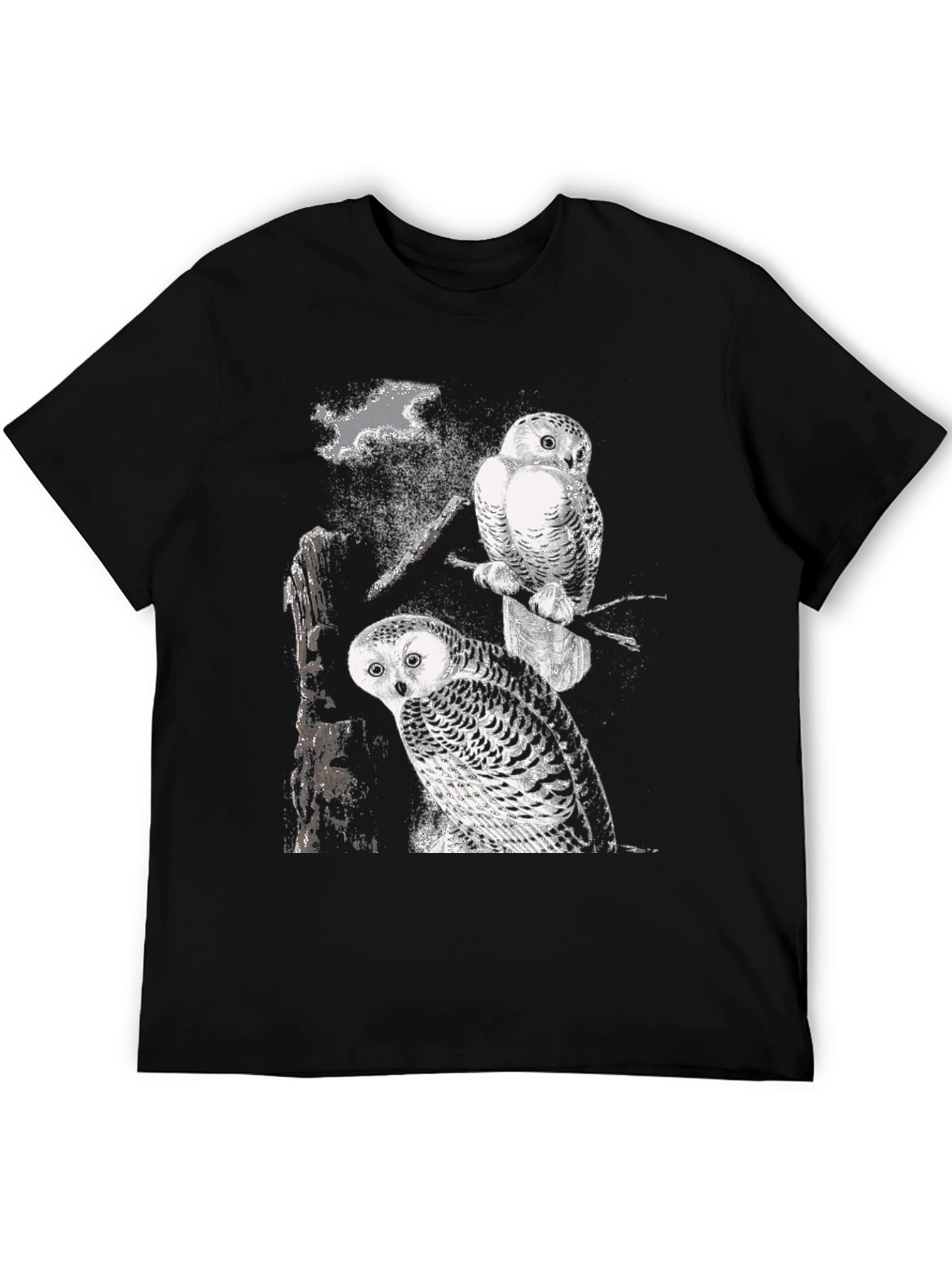 Two Owls Black T-Shirt | Nature Lovers