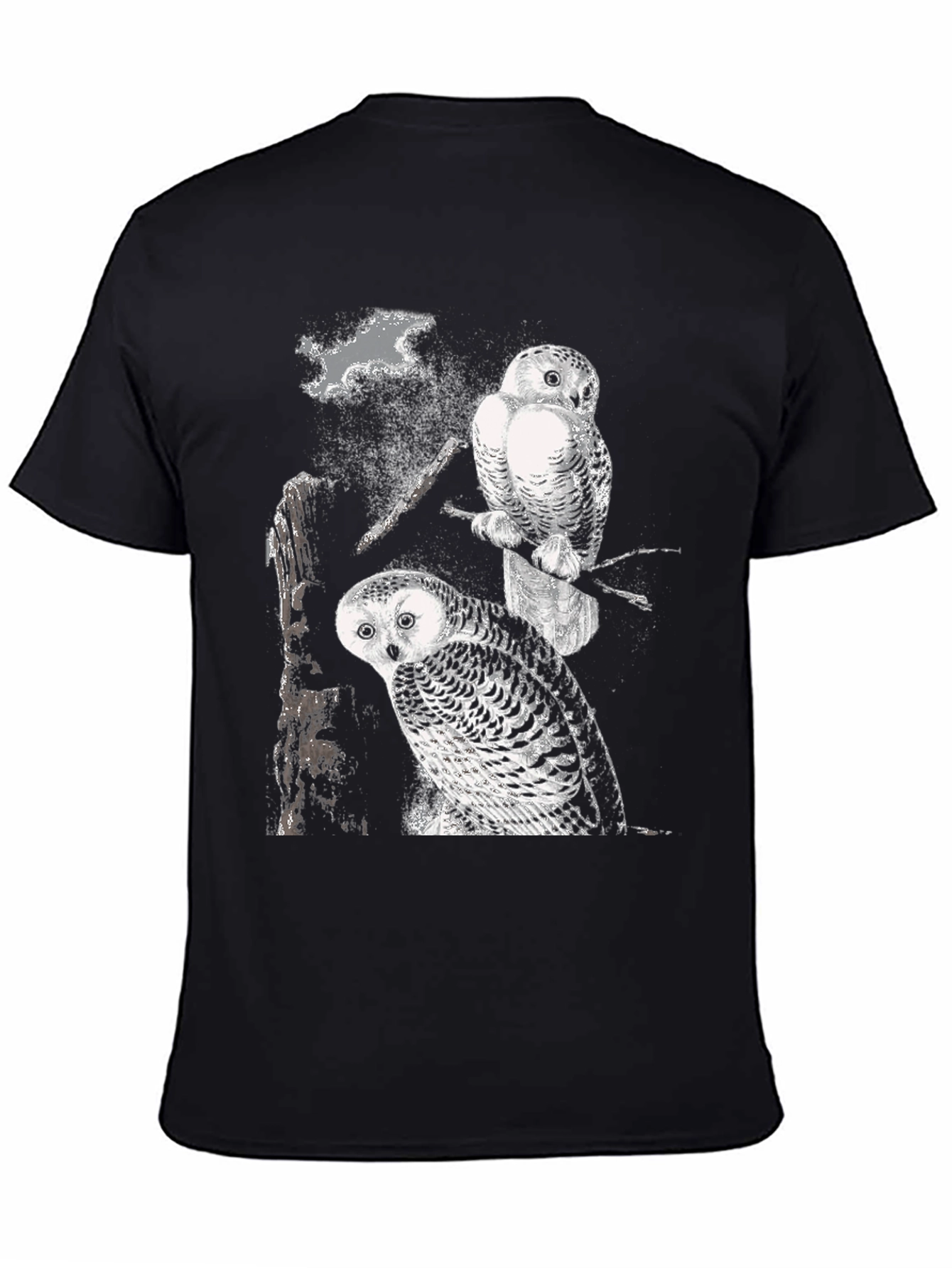 Two Owls Black T-Shirt | Nature Lovers