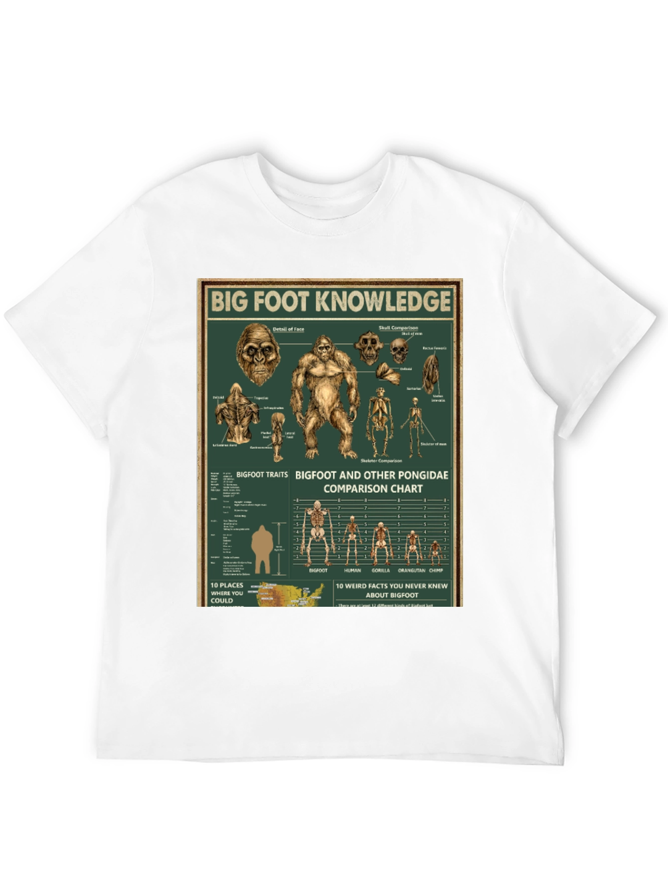 Bigfoot Knowledge Graphic T-Shirt